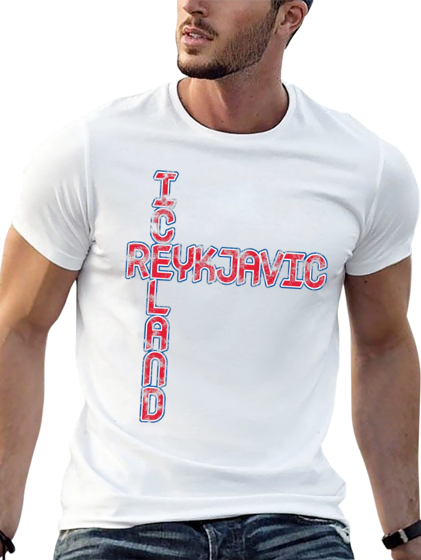 Reykjavik Iceland Graphic Tee - Black Cotton T-Shirt