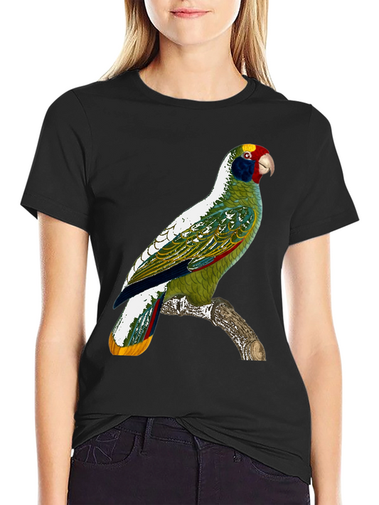 Parrot Graphic T-Shirt - Tropical Bird Tee