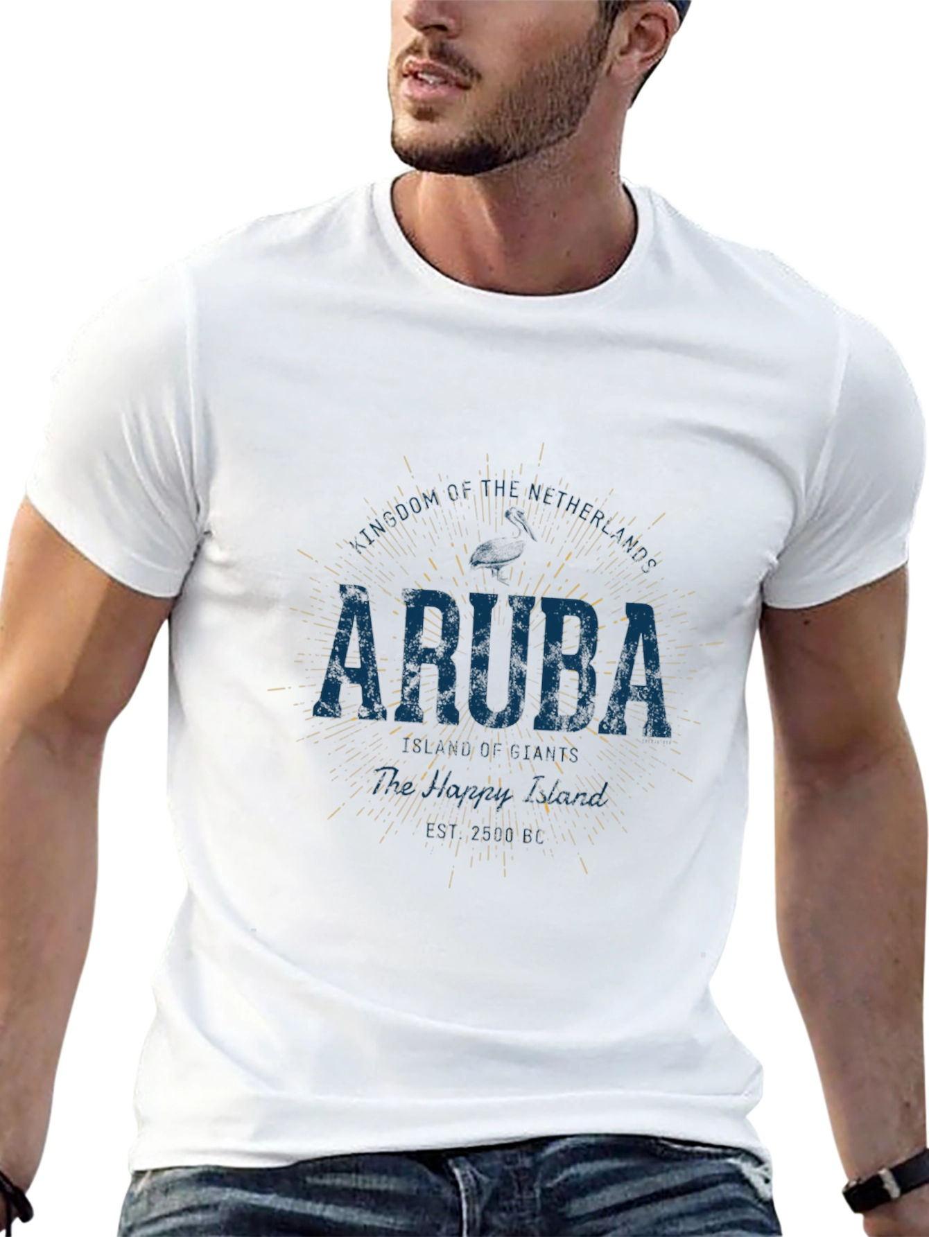 Aruba Graphic Print Crew Neck T-Shirt