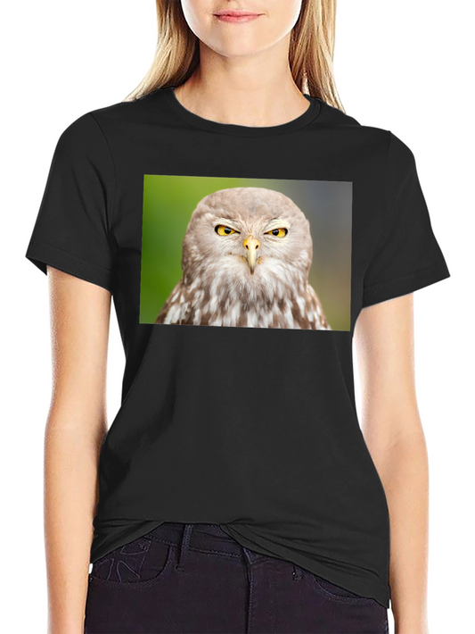 Owl Graphic Tee - Mens Black Cotton T-Shirt