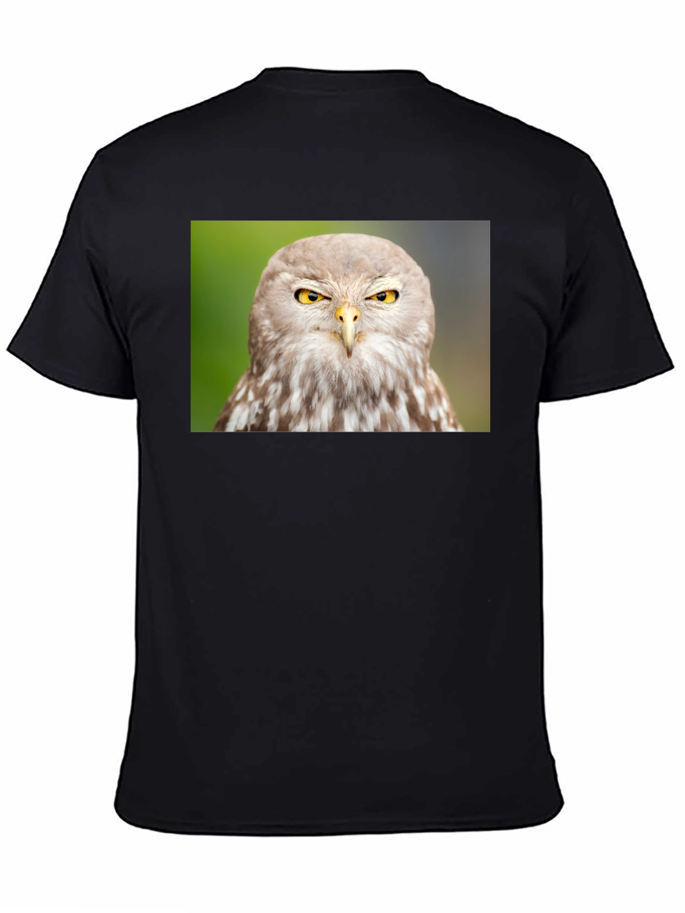 Owl Graphic Tee - Mens Black Cotton T-Shirt