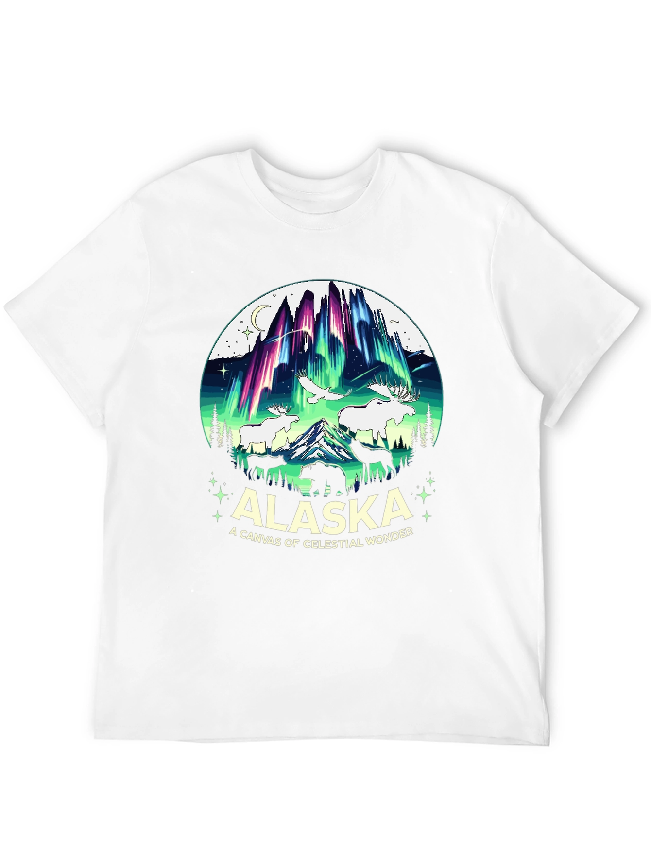Alaska Celestial Wonder Graphic T-Shirt