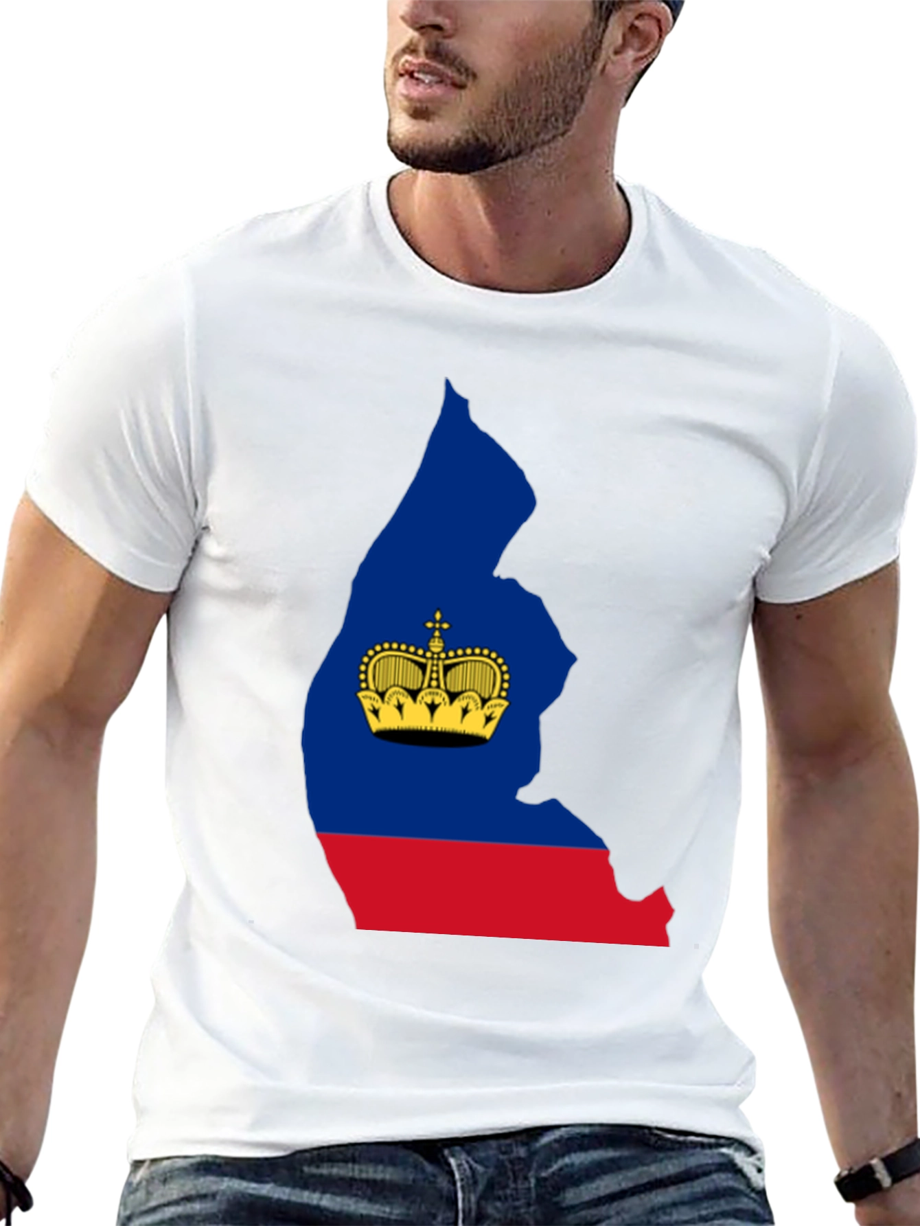 Liechtenstein Flag Silhouette T-Shirt