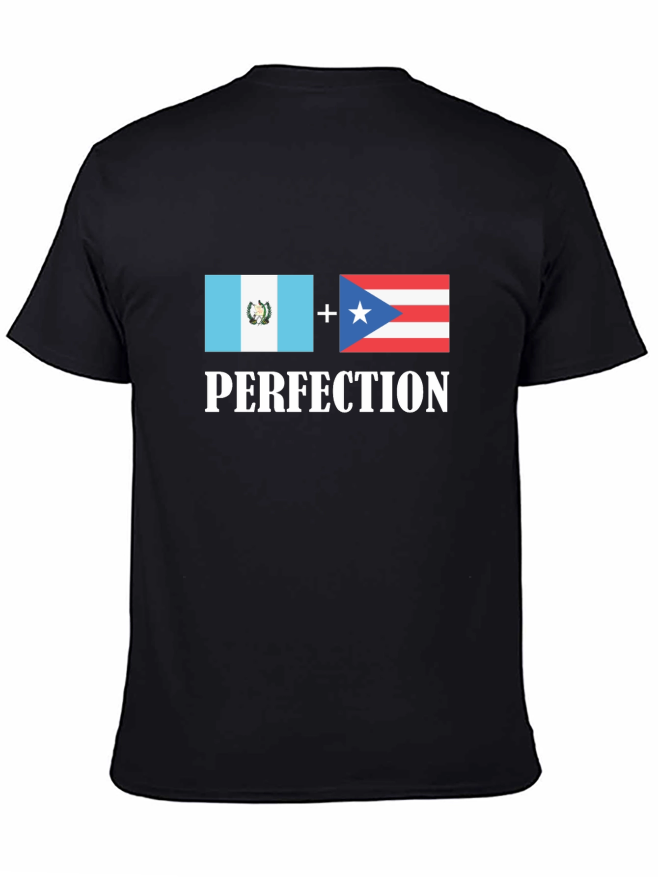 Guatemala Puerto Rico Perfection T-Shirt