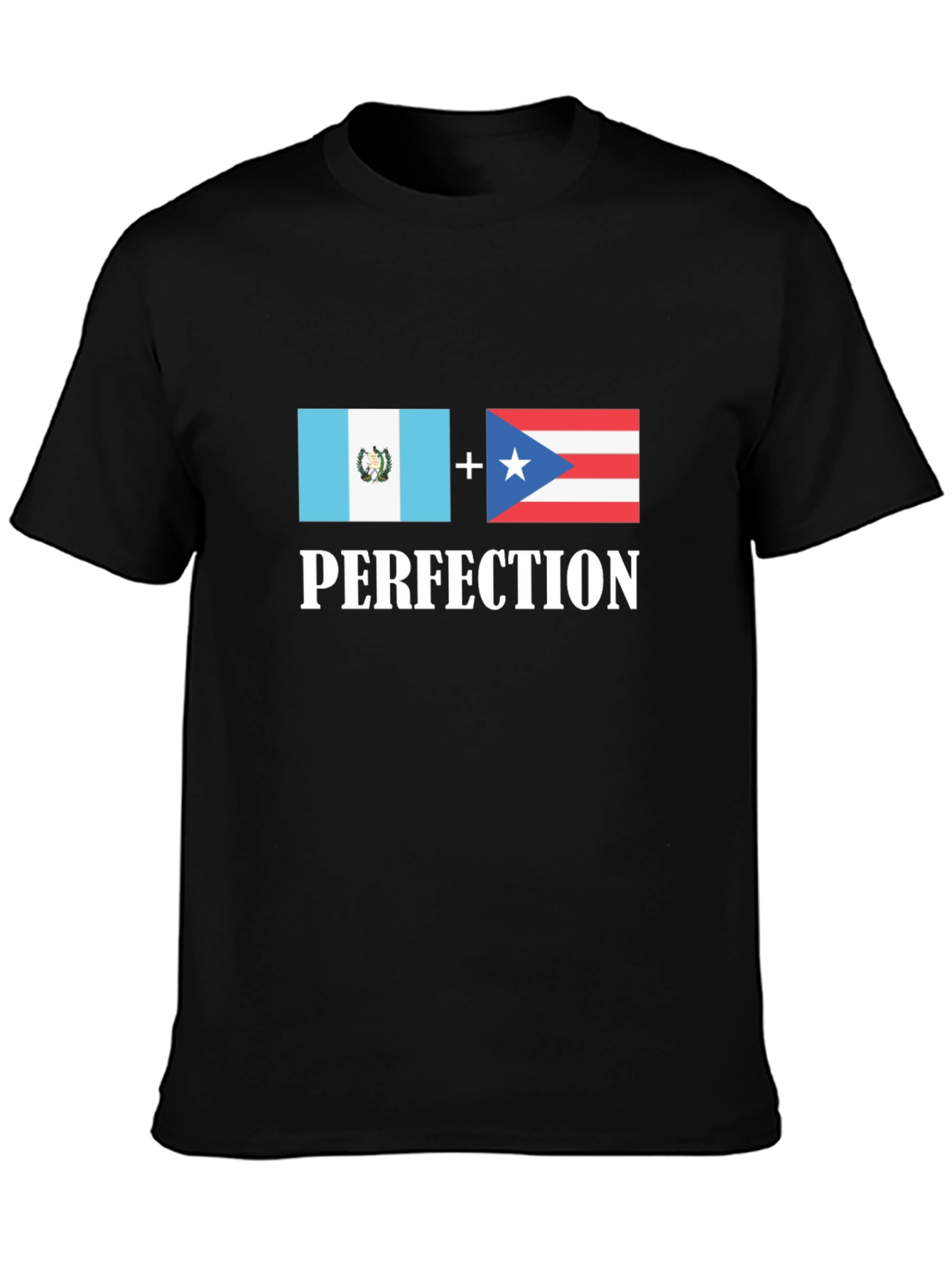 Guatemala Puerto Rico Perfection T-Shirt