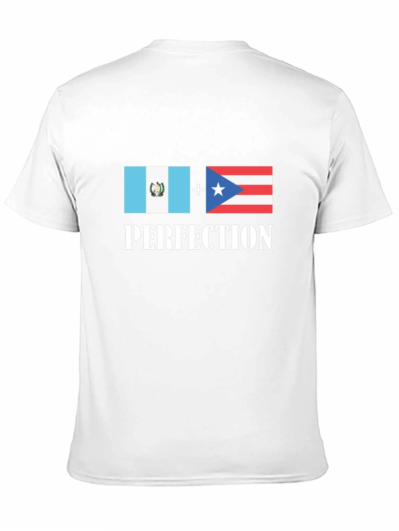 Guatemala Puerto Rico Perfection T-Shirt