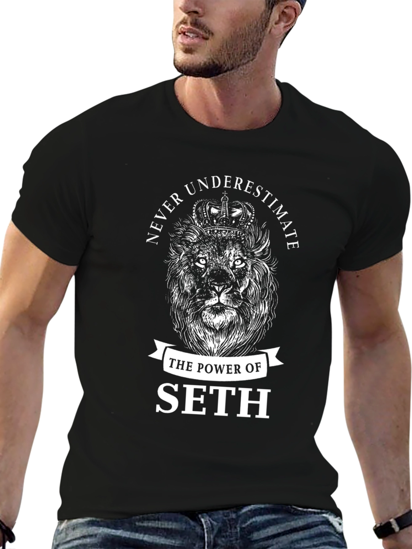 Never Underestimate The Power Of Seth Lion T-Shirt