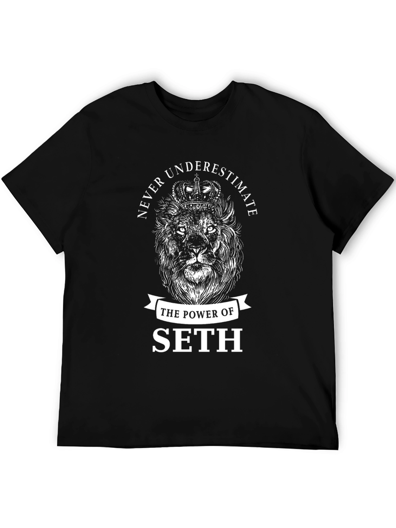 Never Underestimate The Power Of Seth Lion T-Shirt