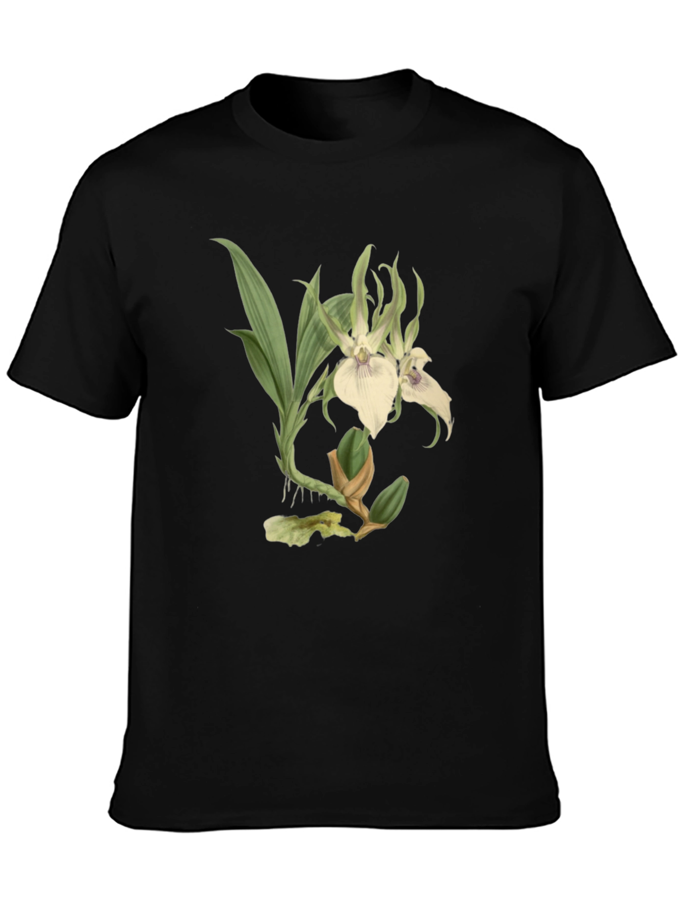 Botanical Orchid Graphic Tee - Black Cotton Blend