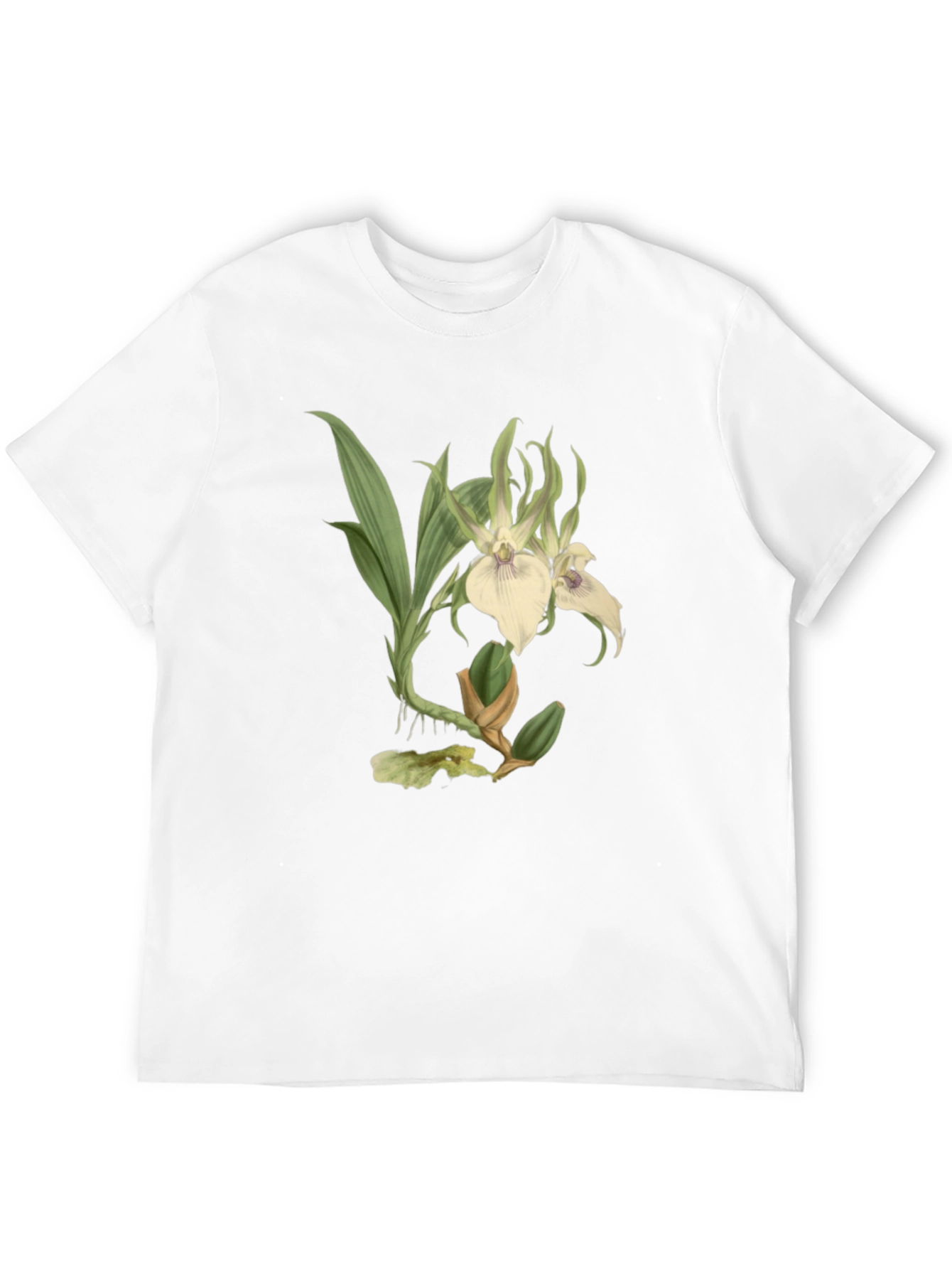 Botanical Orchid Graphic Tee - Black Cotton Blend