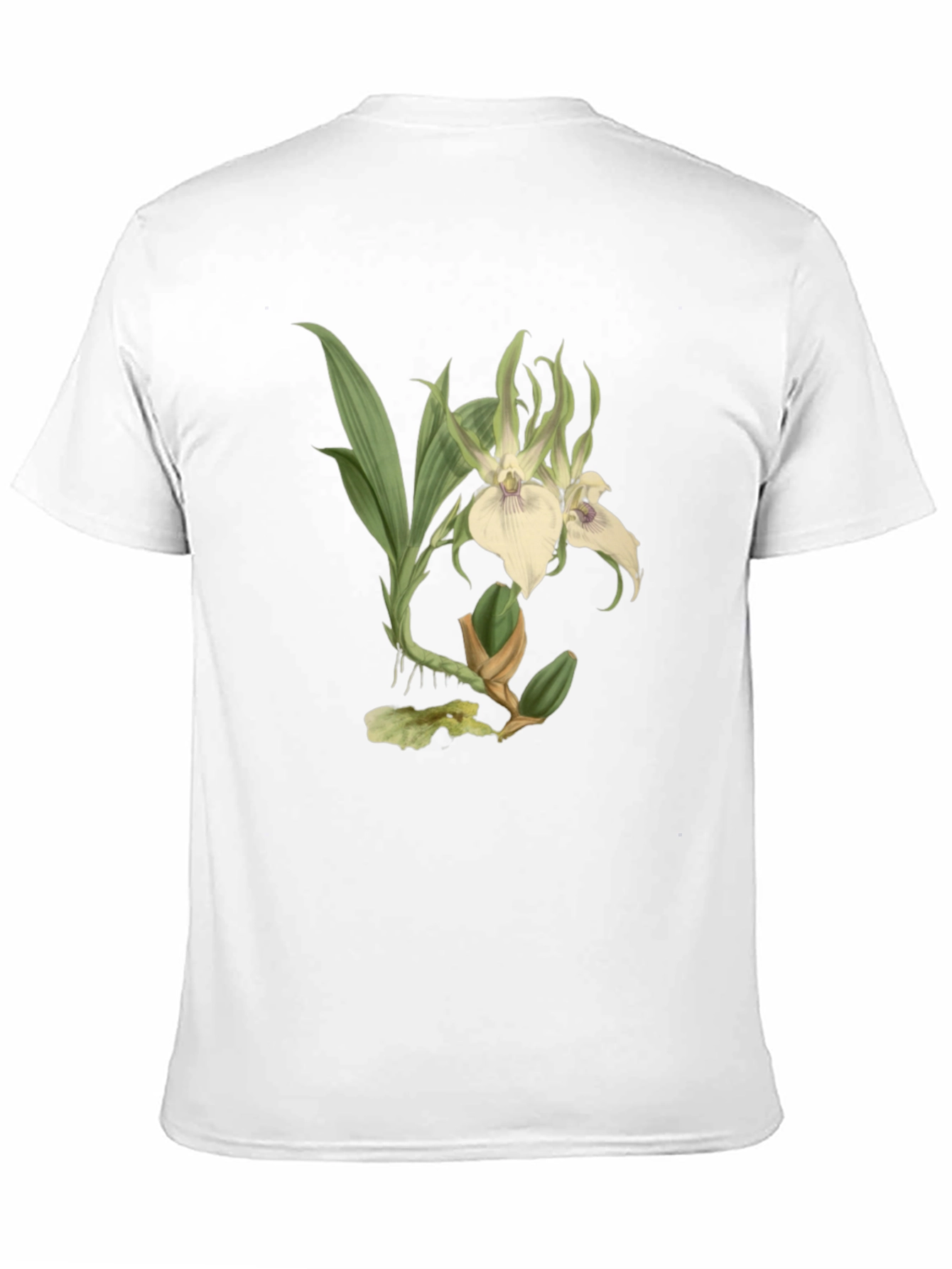 Botanical Orchid Graphic Tee - Black Cotton Blend