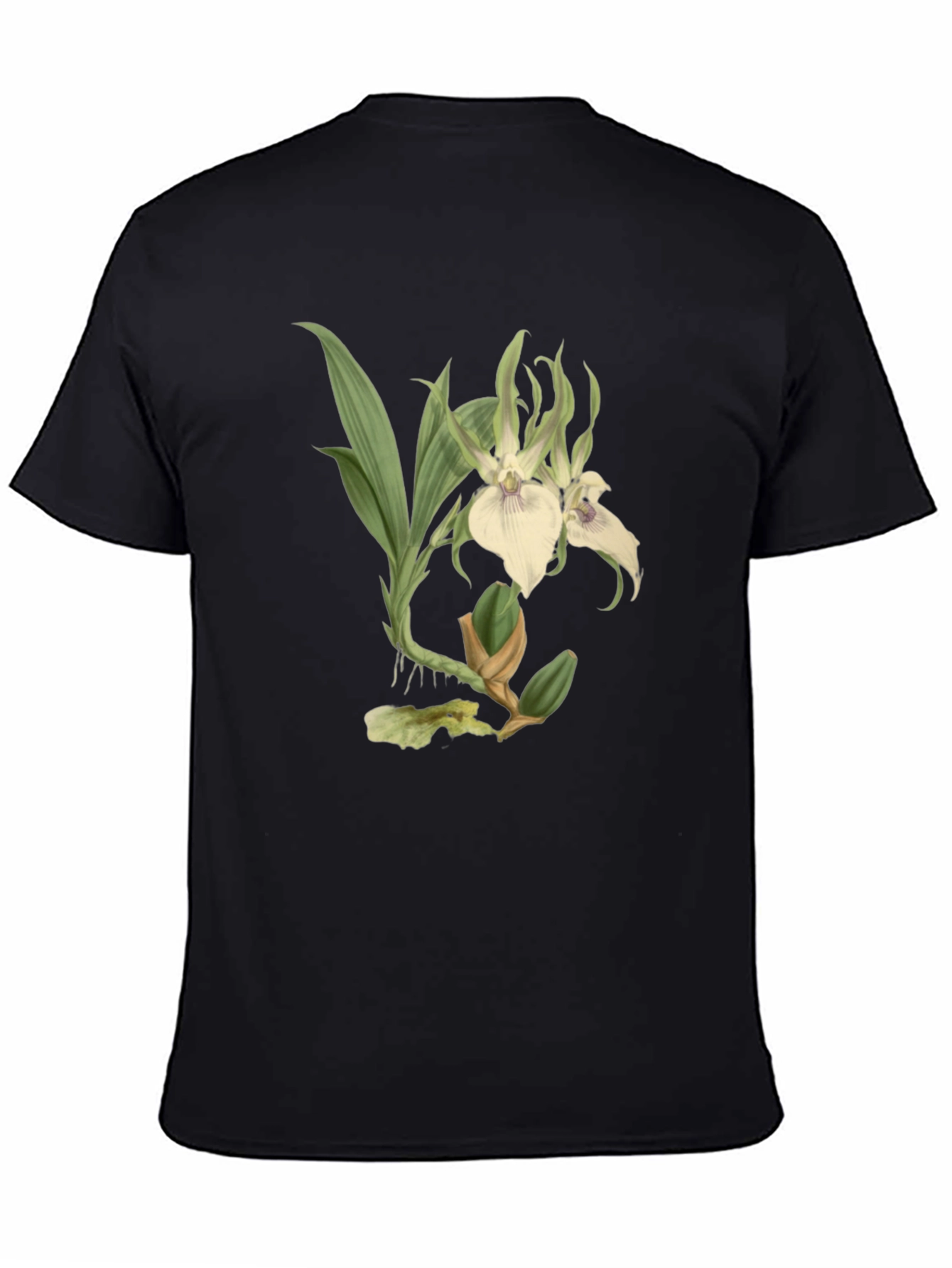 Botanical Orchid Graphic Tee - Black Cotton Blend