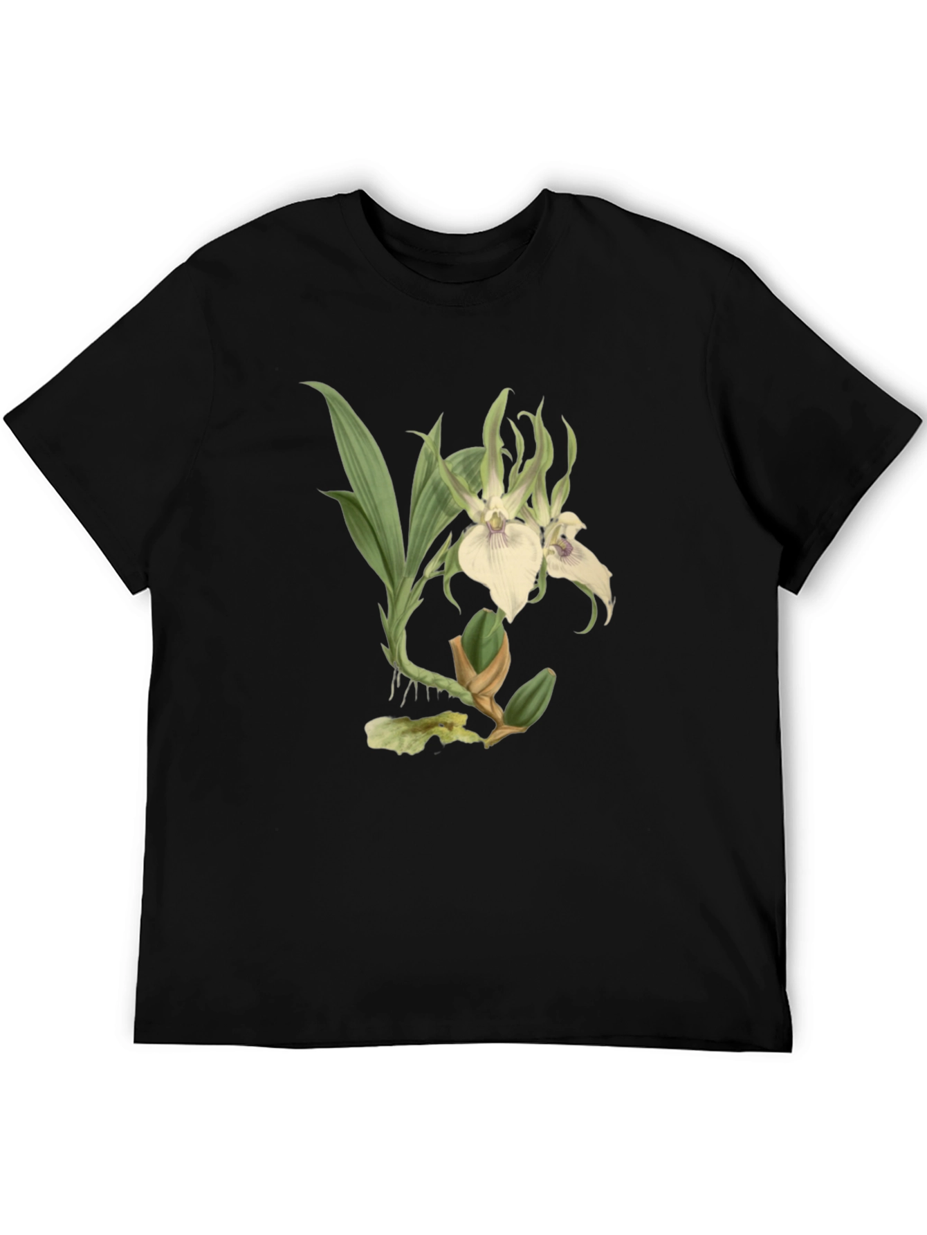 Botanical Orchid Graphic Tee - Black Cotton Blend