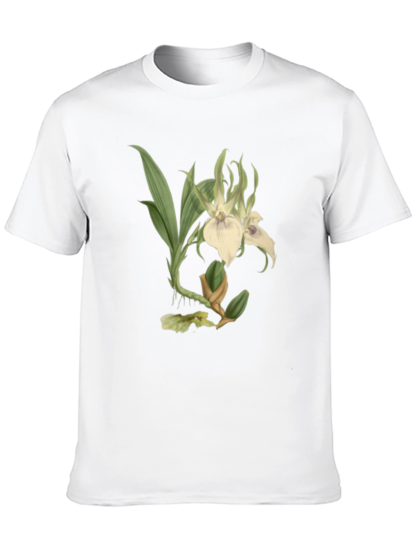 Botanical Orchid Graphic Tee - Black Cotton Blend