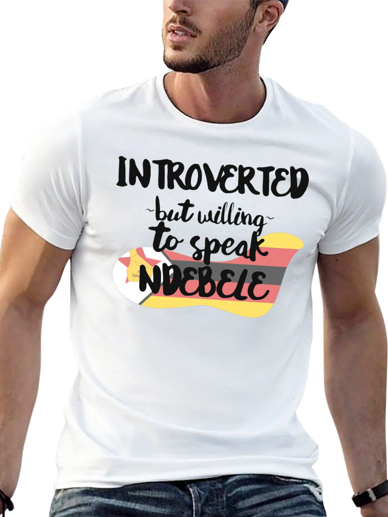 Introvert Ndebele Language T-Shirt