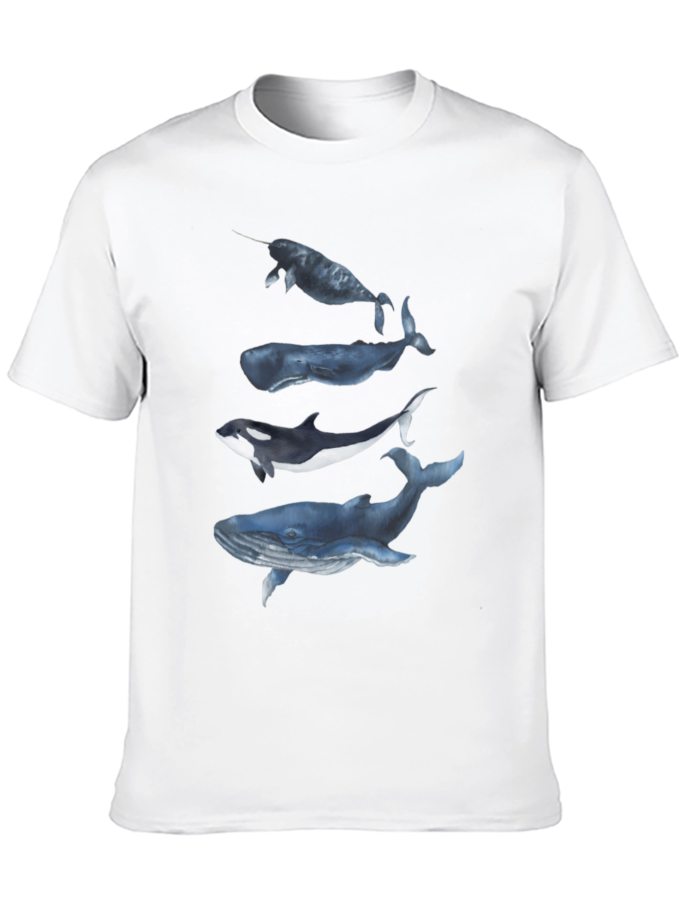 Whale Graphic Tee - Black Cotton T-Shirt