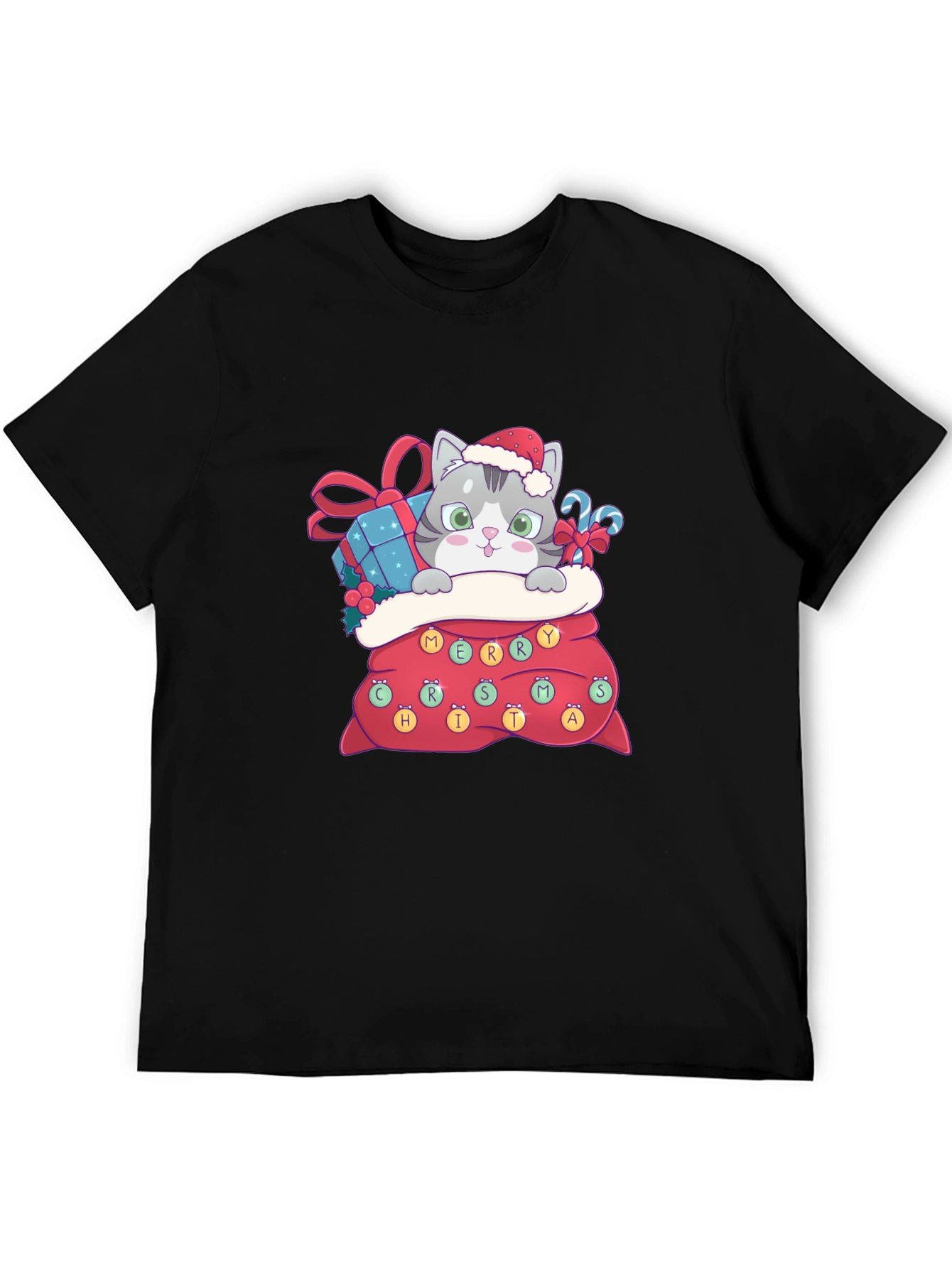 Christmas Cat in Bag Graphic Tee