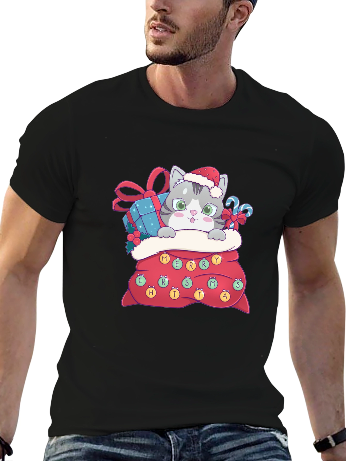 Christmas Cat in Bag Graphic Tee