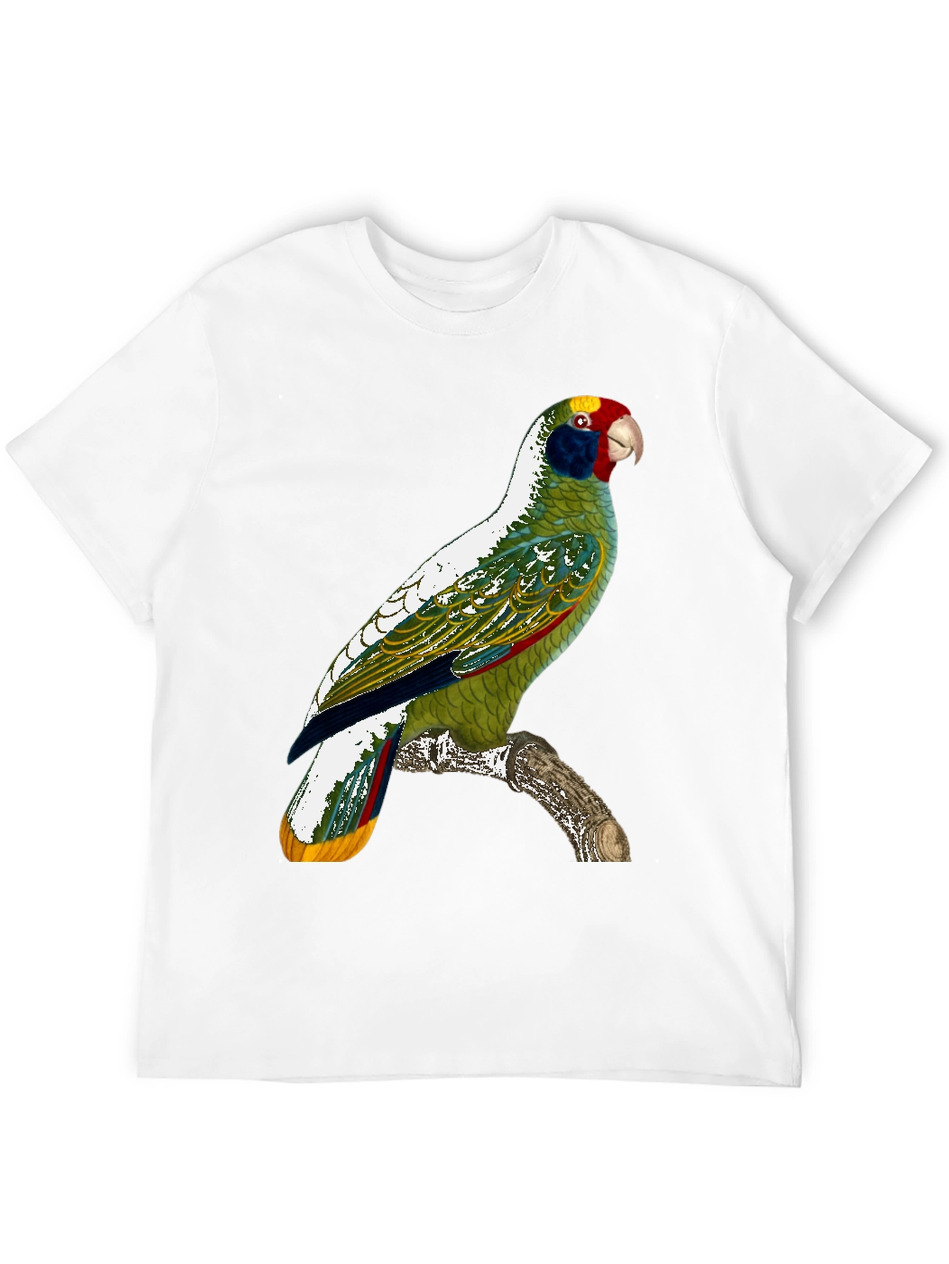 Parrot Graphic T-Shirt - Tropical Bird Tee