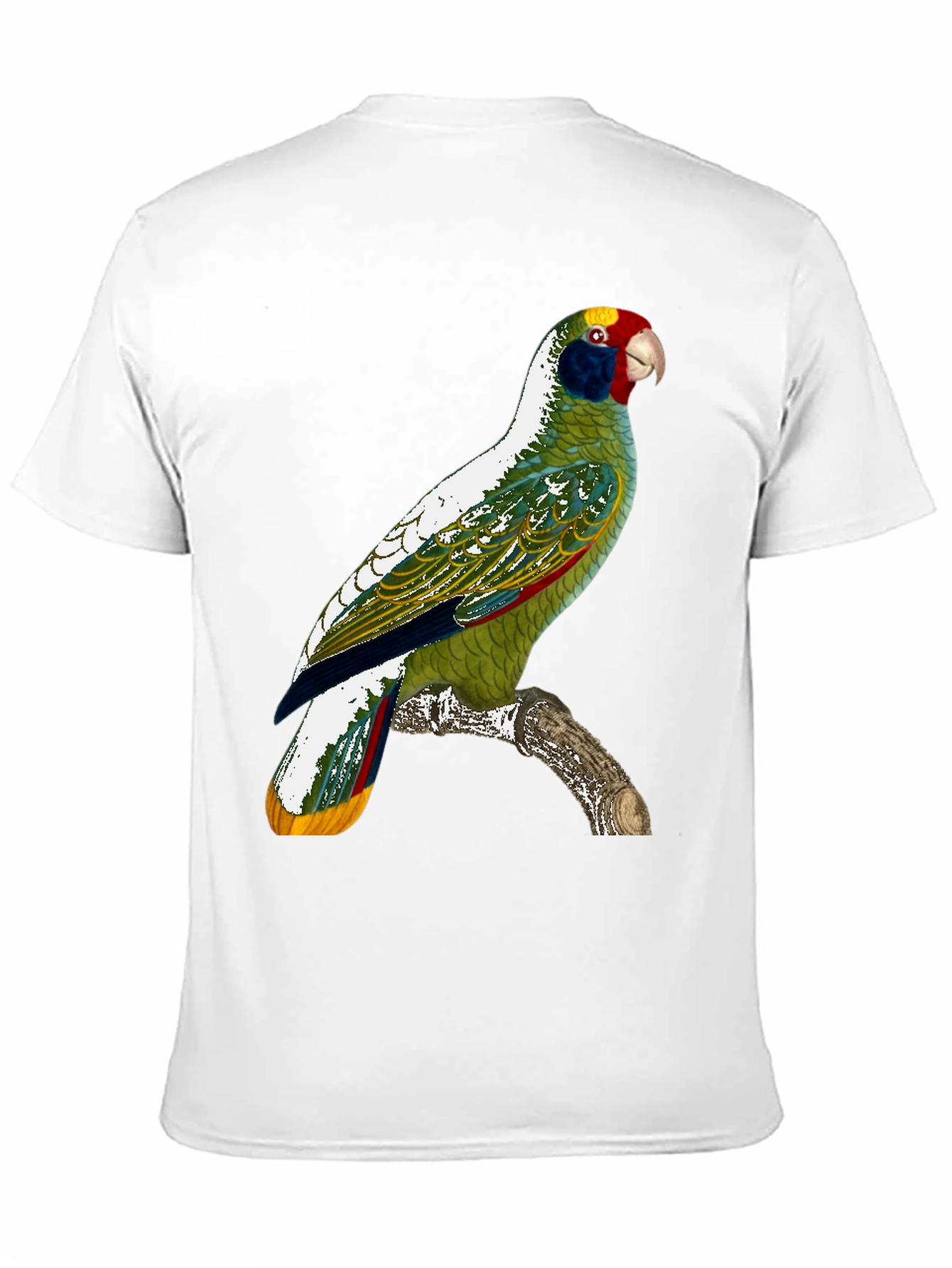 Parrot Graphic T-Shirt - Tropical Bird Tee