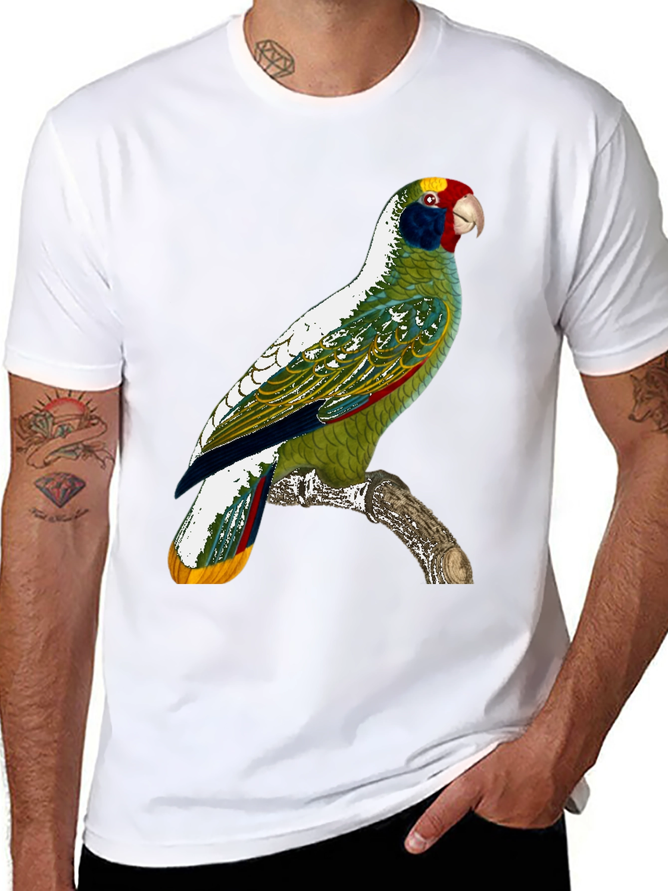 Parrot Graphic T-Shirt - Tropical Bird Tee