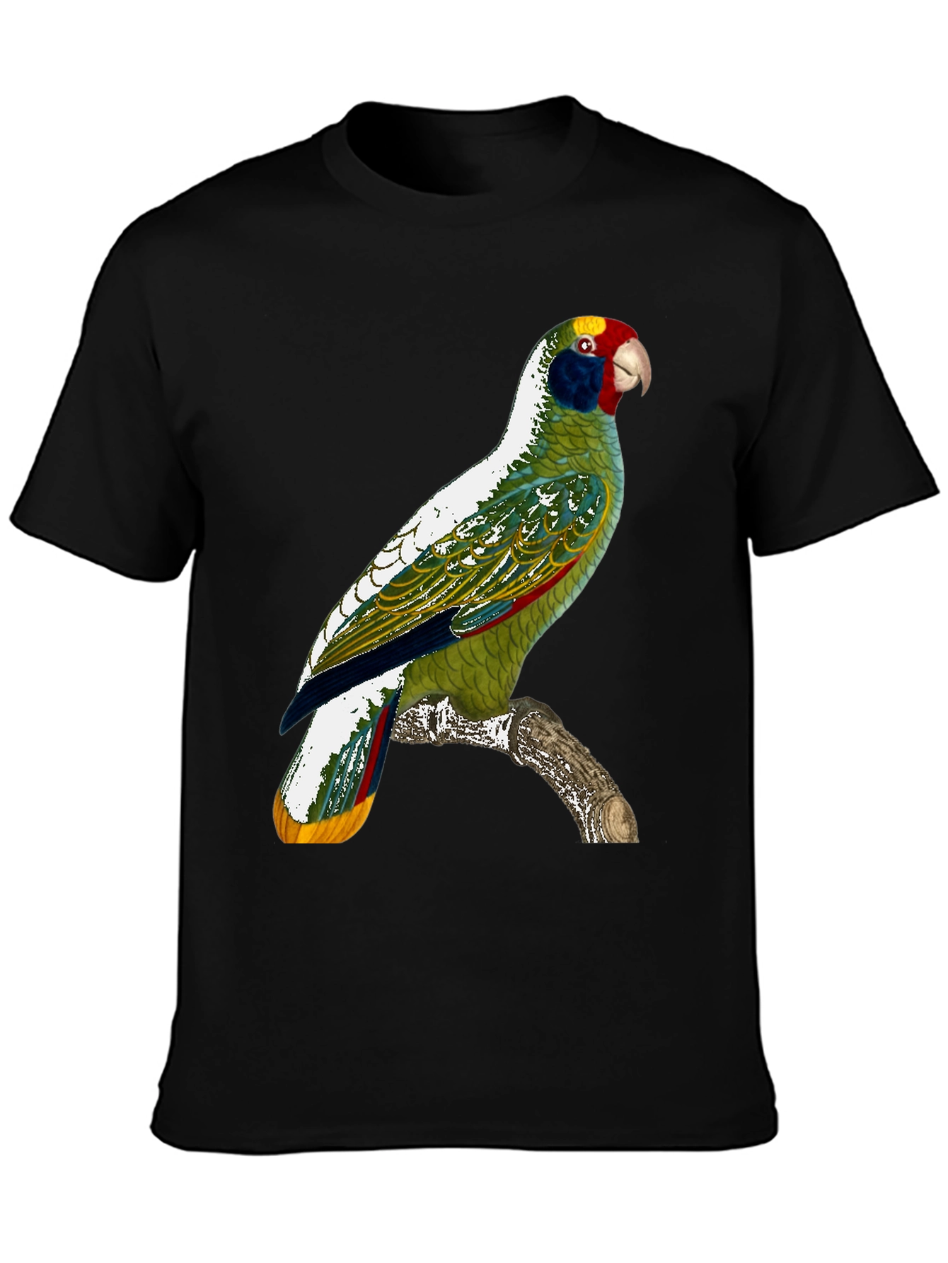Parrot Graphic T-Shirt - Tropical Bird Tee