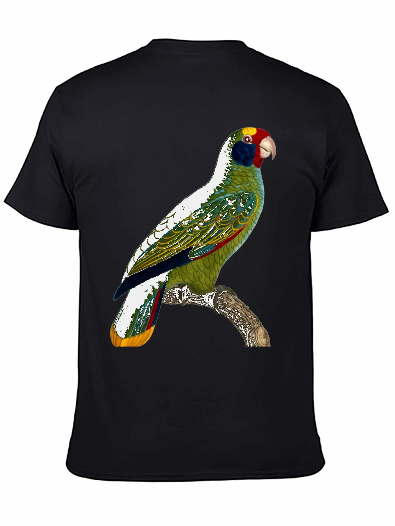 Parrot Graphic T-Shirt - Tropical Bird Tee