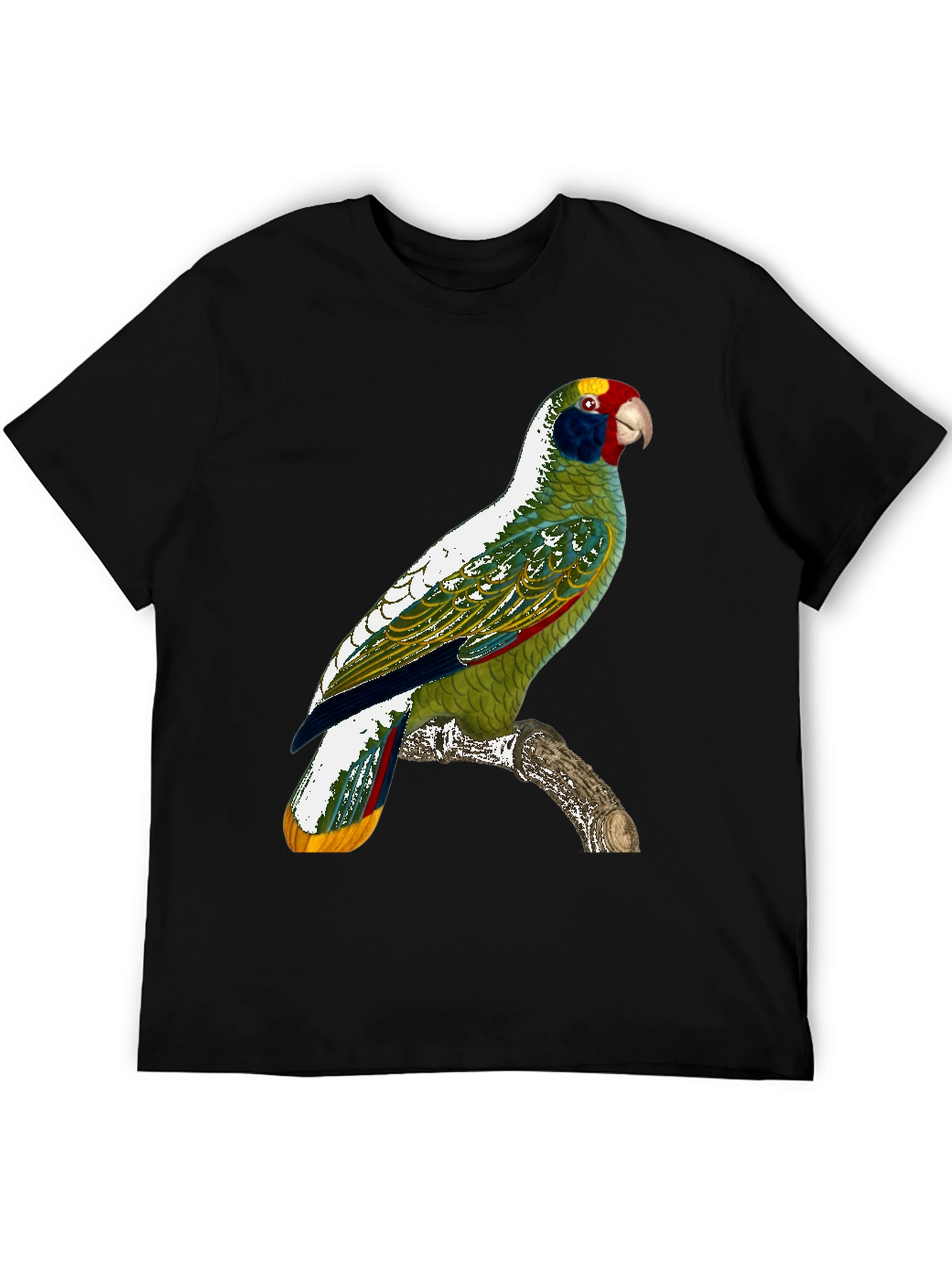 Parrot Graphic T-Shirt - Tropical Bird Tee