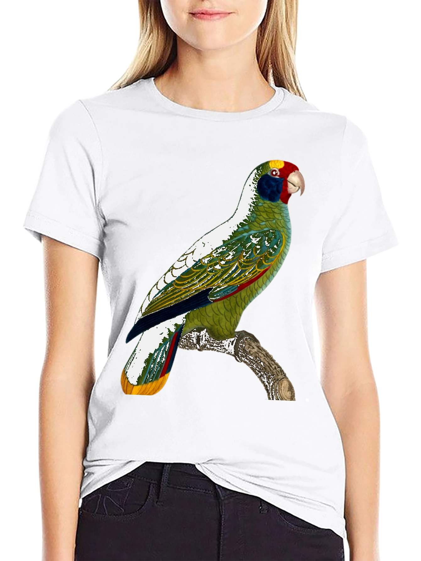 Parrot Graphic T-Shirt - Tropical Bird Tee