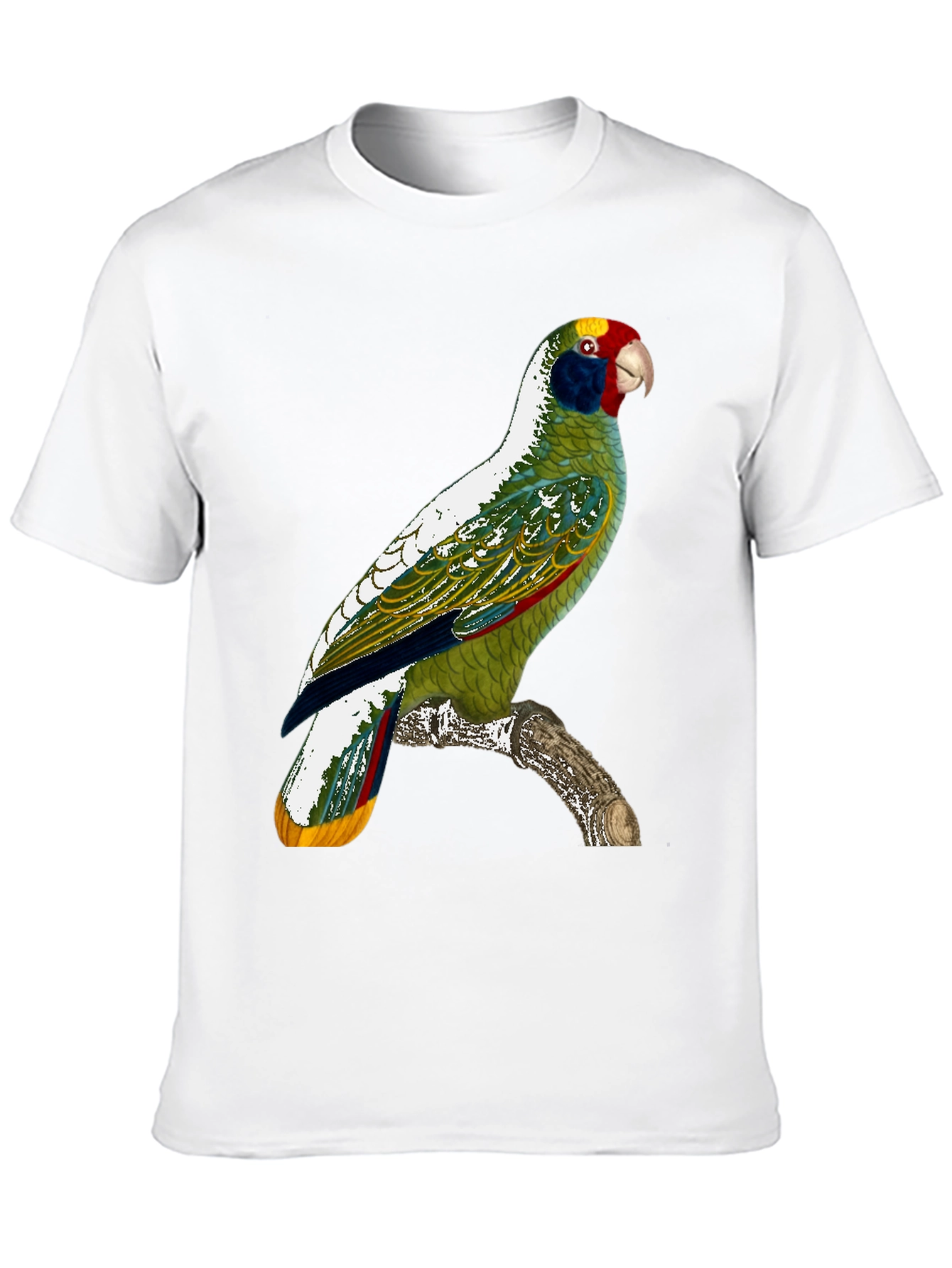 Parrot Graphic T-Shirt - Tropical Bird Tee