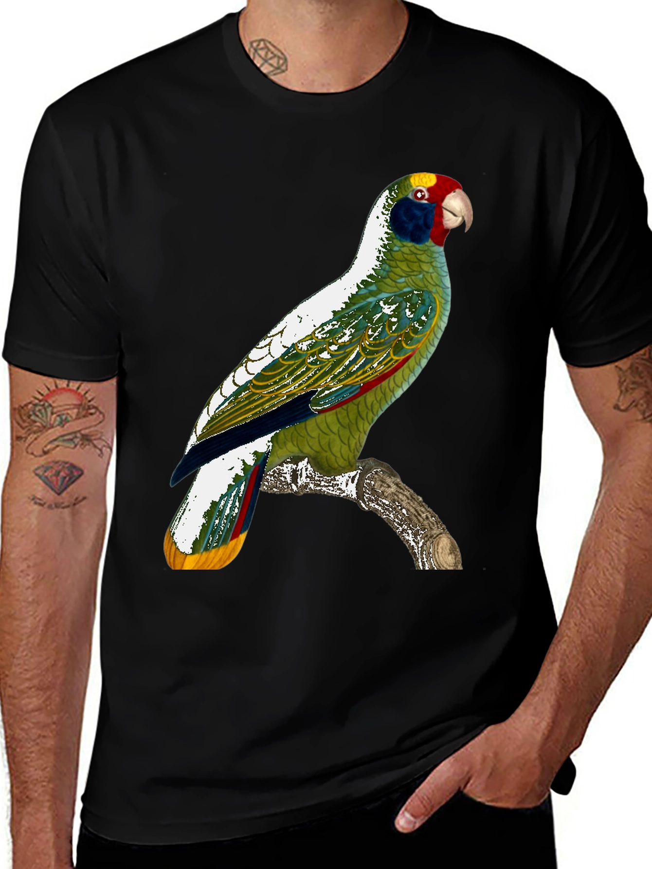 Parrot Graphic T-Shirt - Tropical Bird Tee