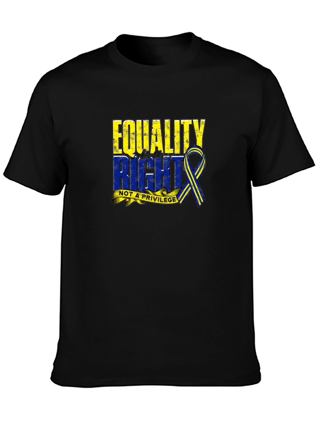 Equality Right Not A Privilege T-Shirt