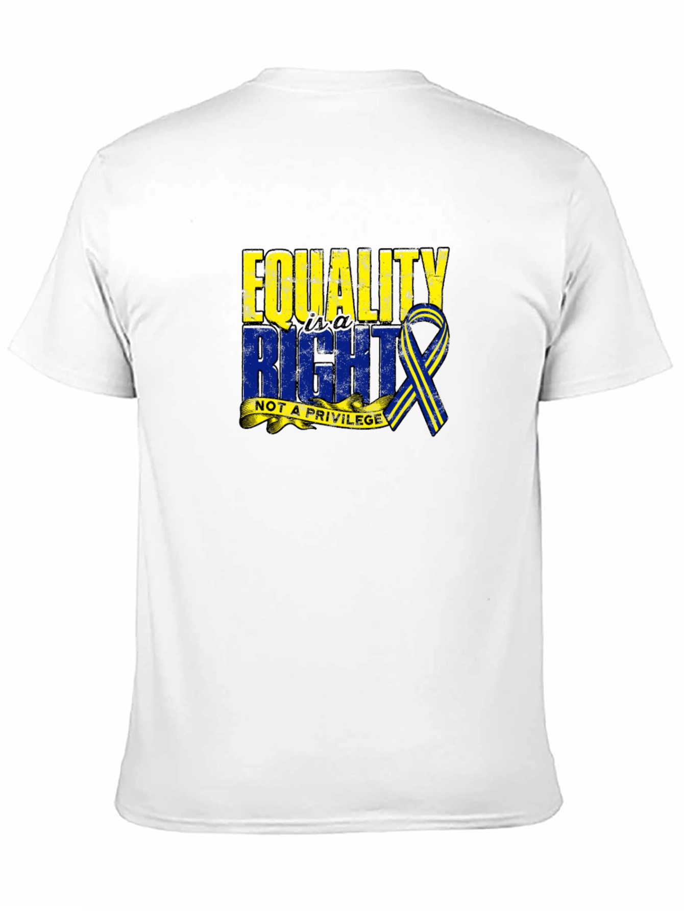 Equality Right Not A Privilege T-Shirt