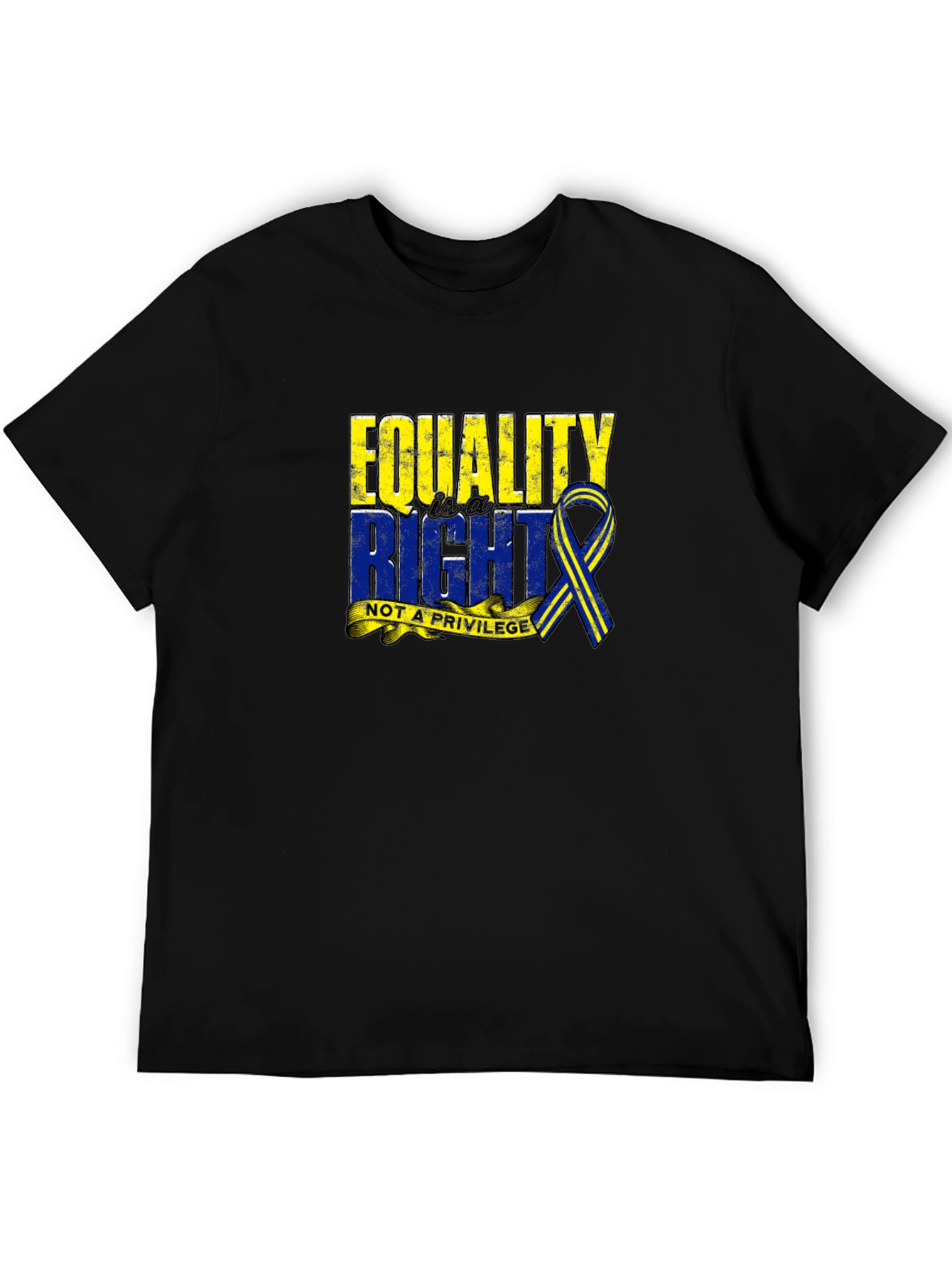Equality Right Not A Privilege T-Shirt