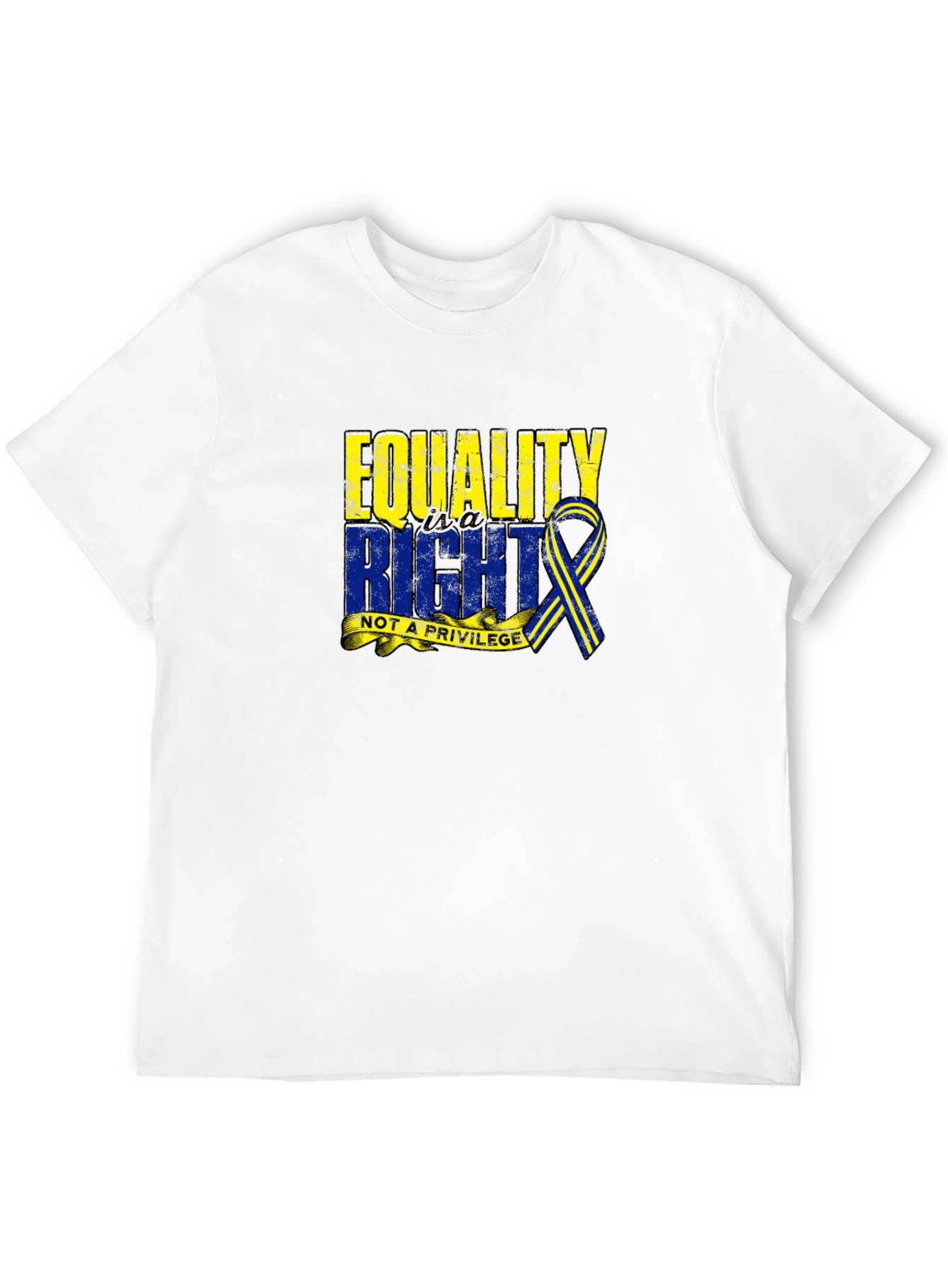 Equality Right Not A Privilege T-Shirt