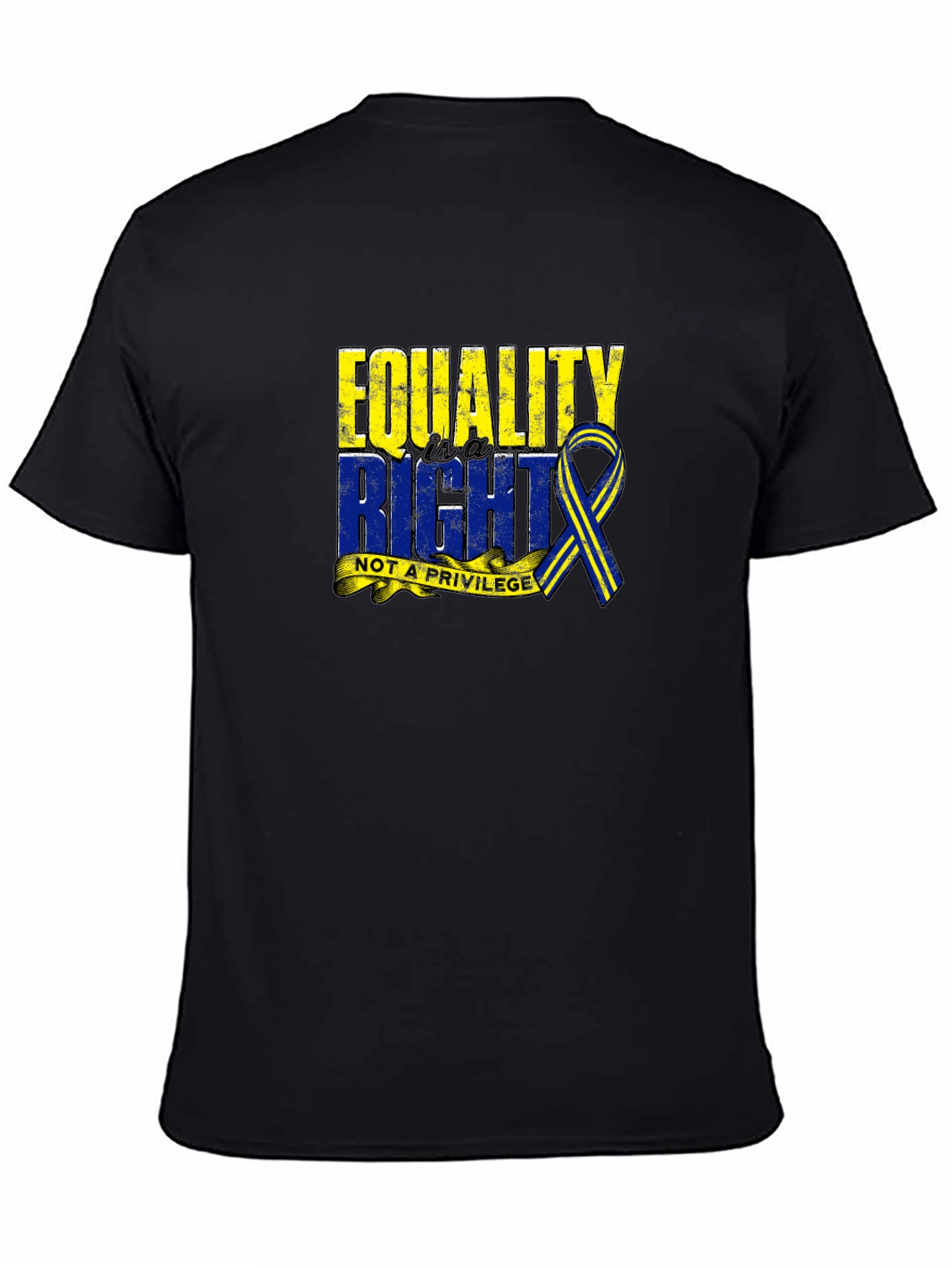 Equality Right Not A Privilege T-Shirt