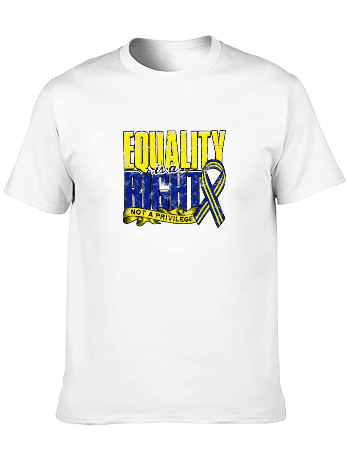 Equality Right Not A Privilege T-Shirt