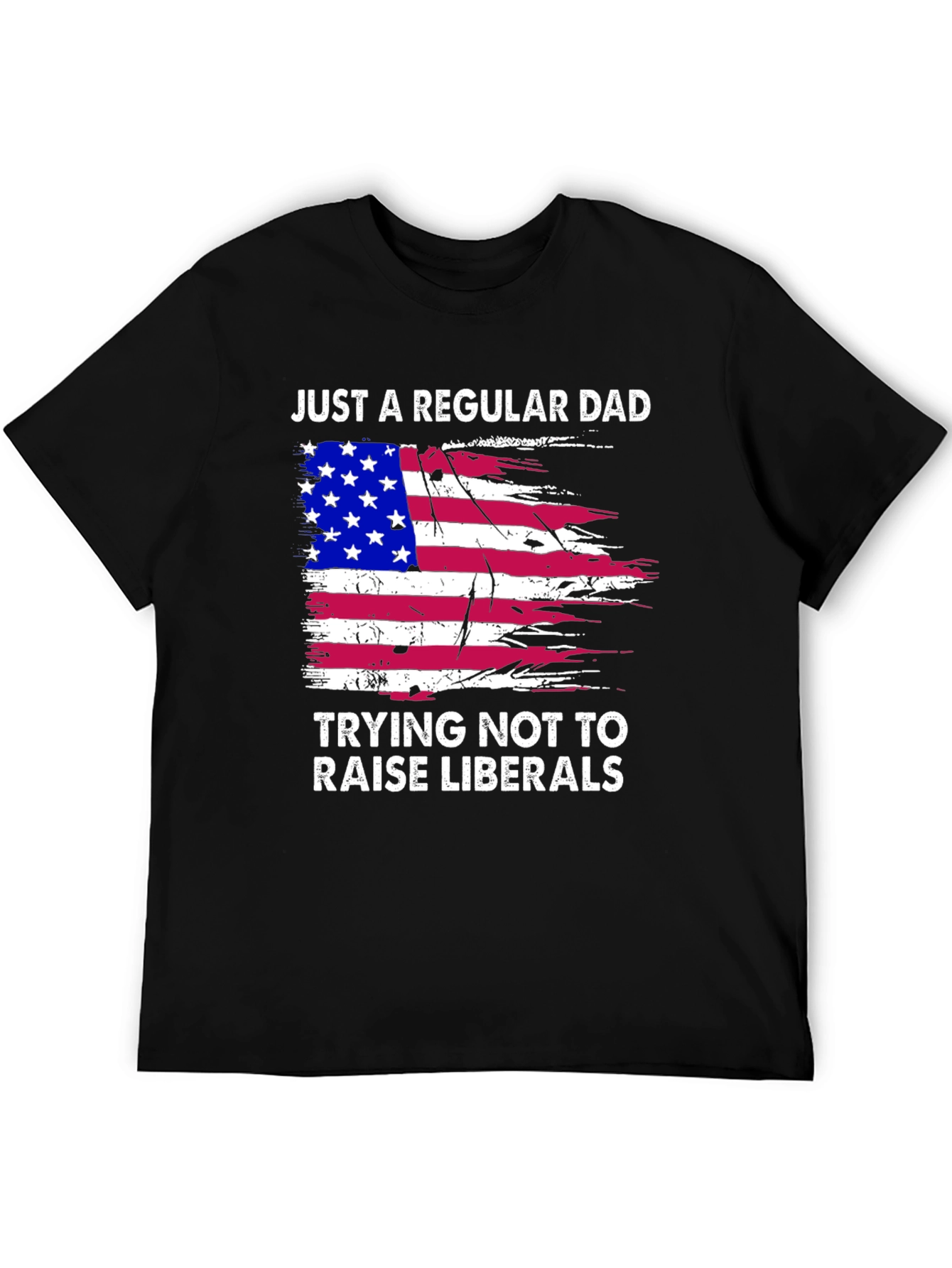 Regular Dad Anti-Liberal T-Shirt