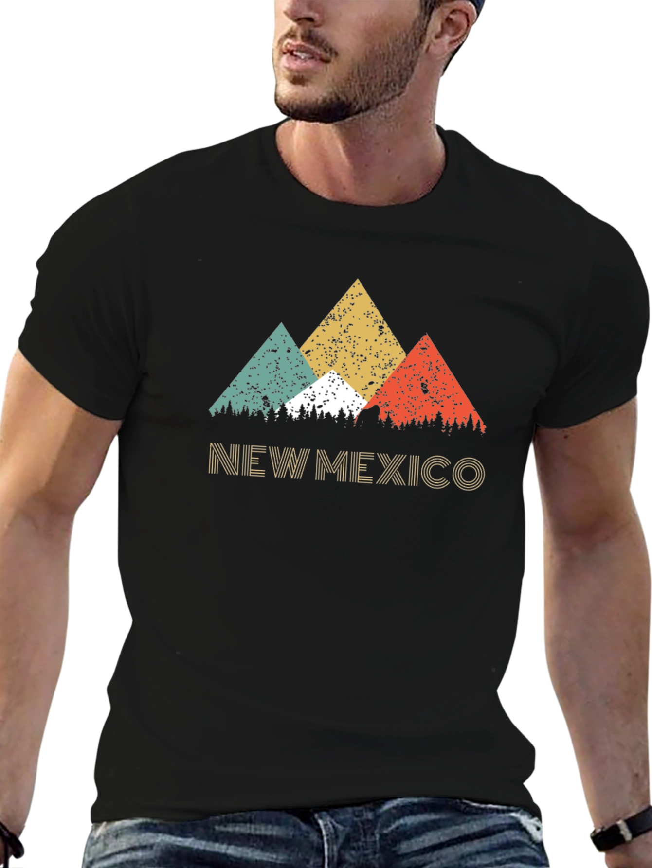 Retro New Mexico Mountain Graphic Tee