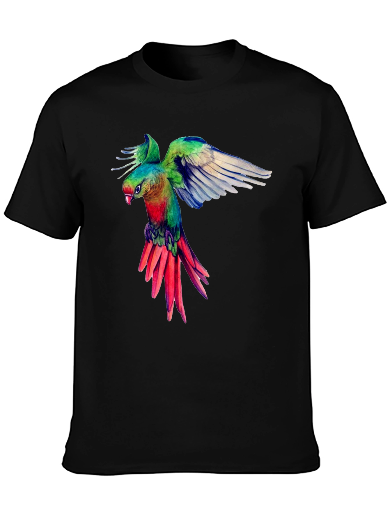Parrot Graphic Black T-Shirt