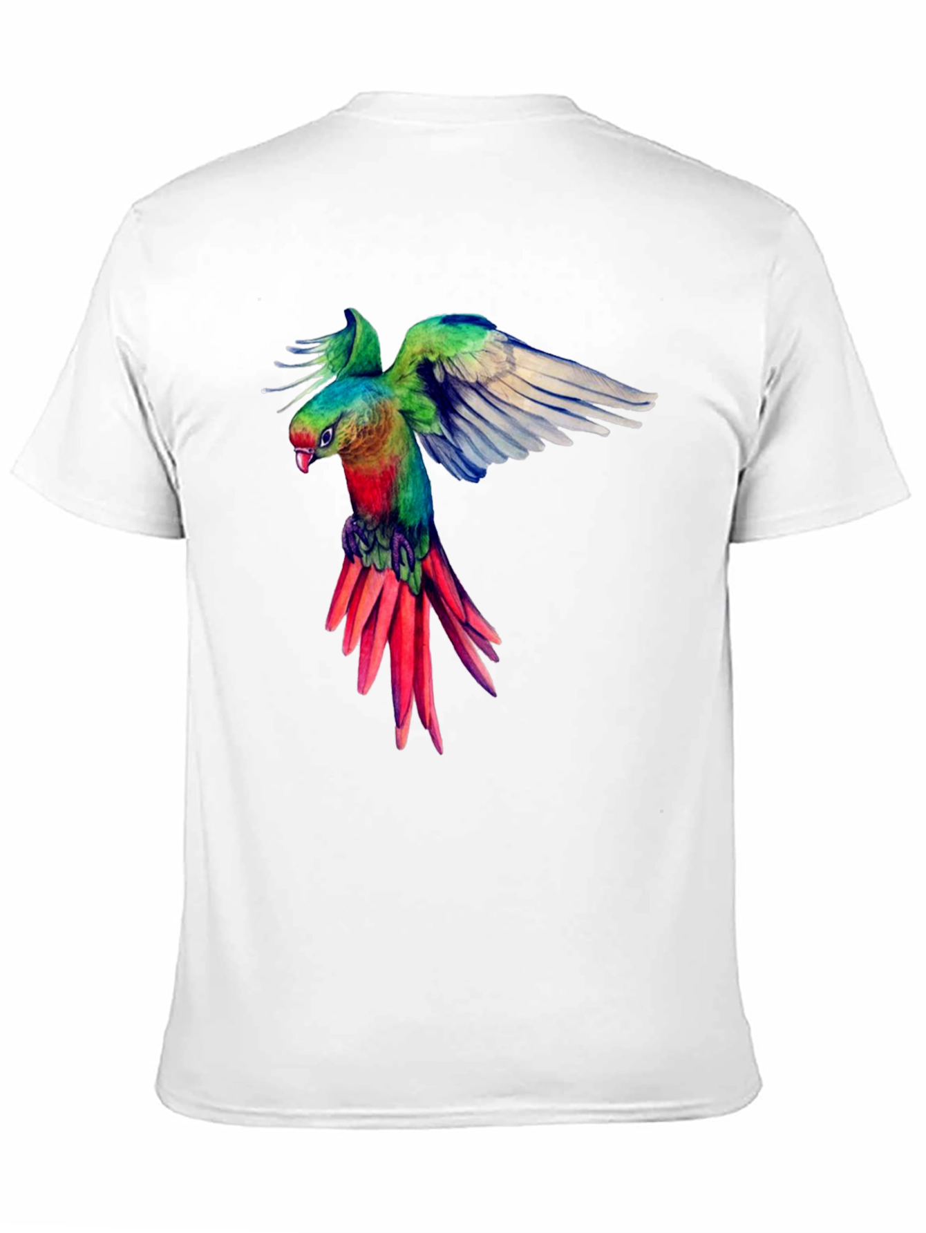 Parrot Graphic Black T-Shirt