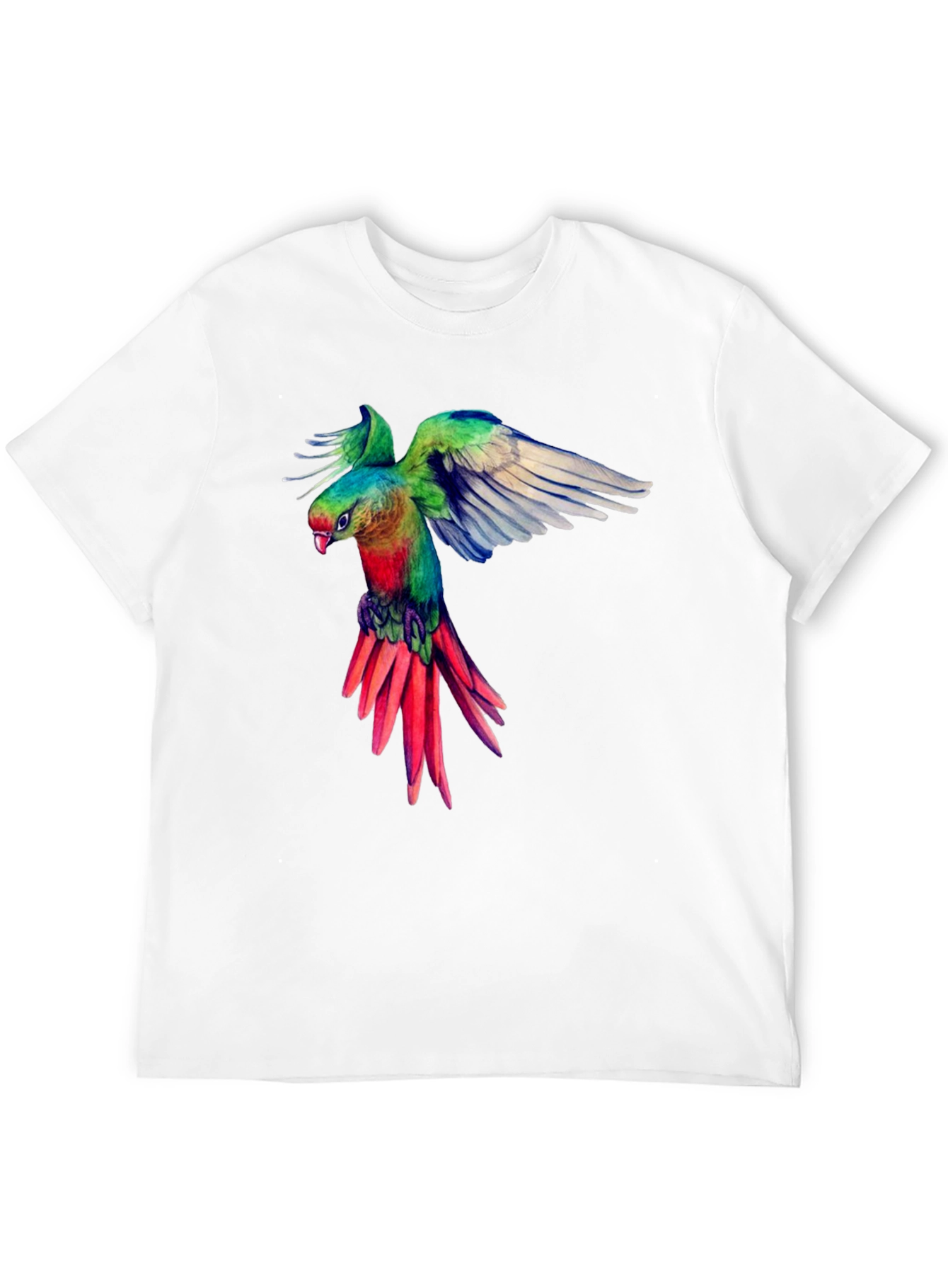 Parrot Graphic Black T-Shirt