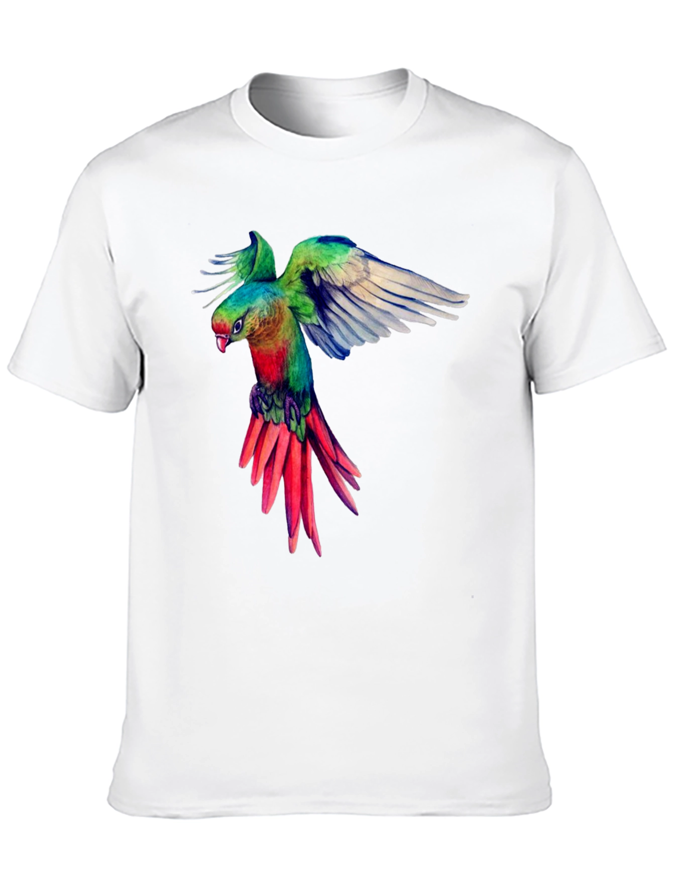 Parrot Graphic Black T-Shirt