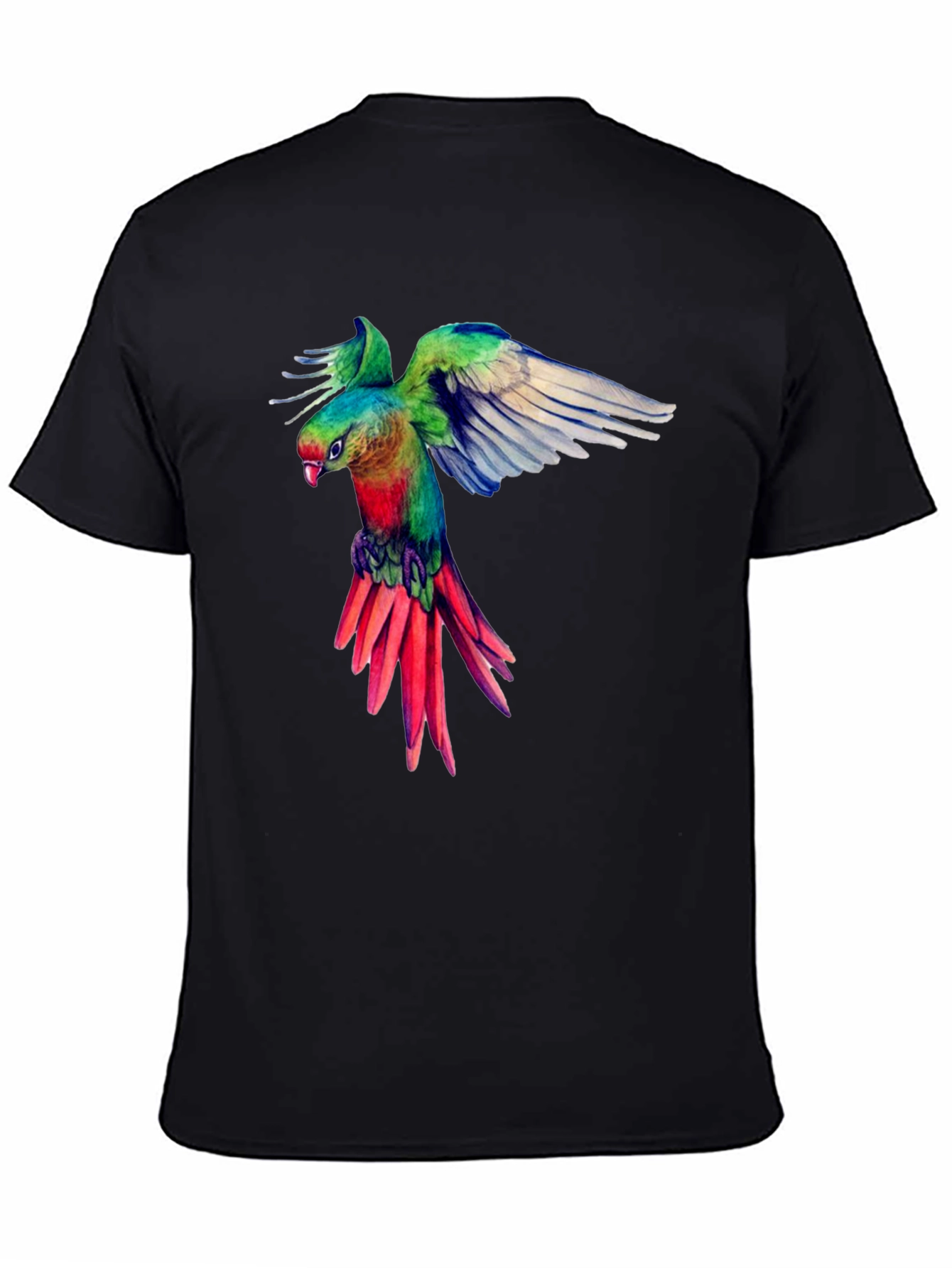 Parrot Graphic Black T-Shirt