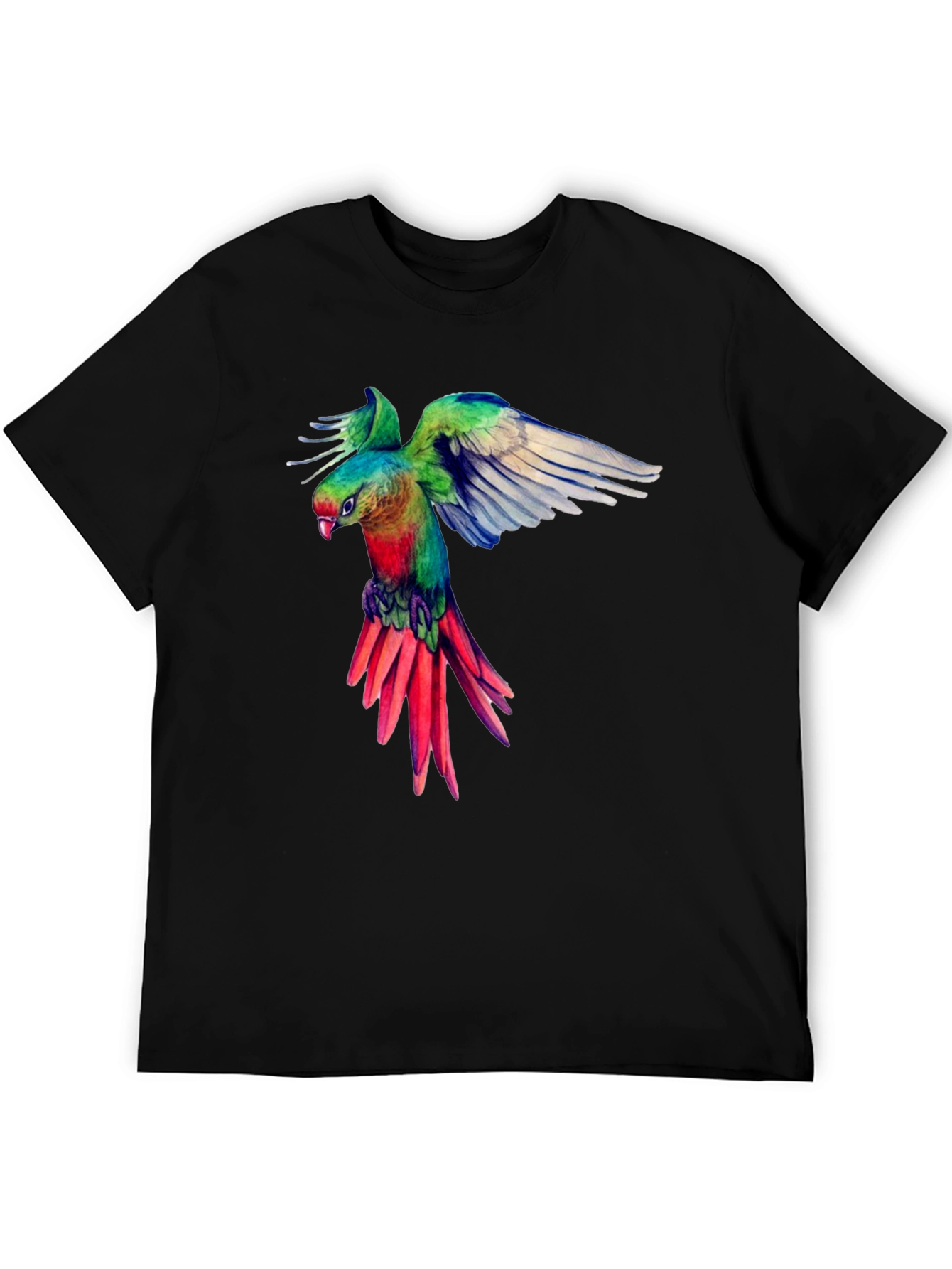 Parrot Graphic Black T-Shirt