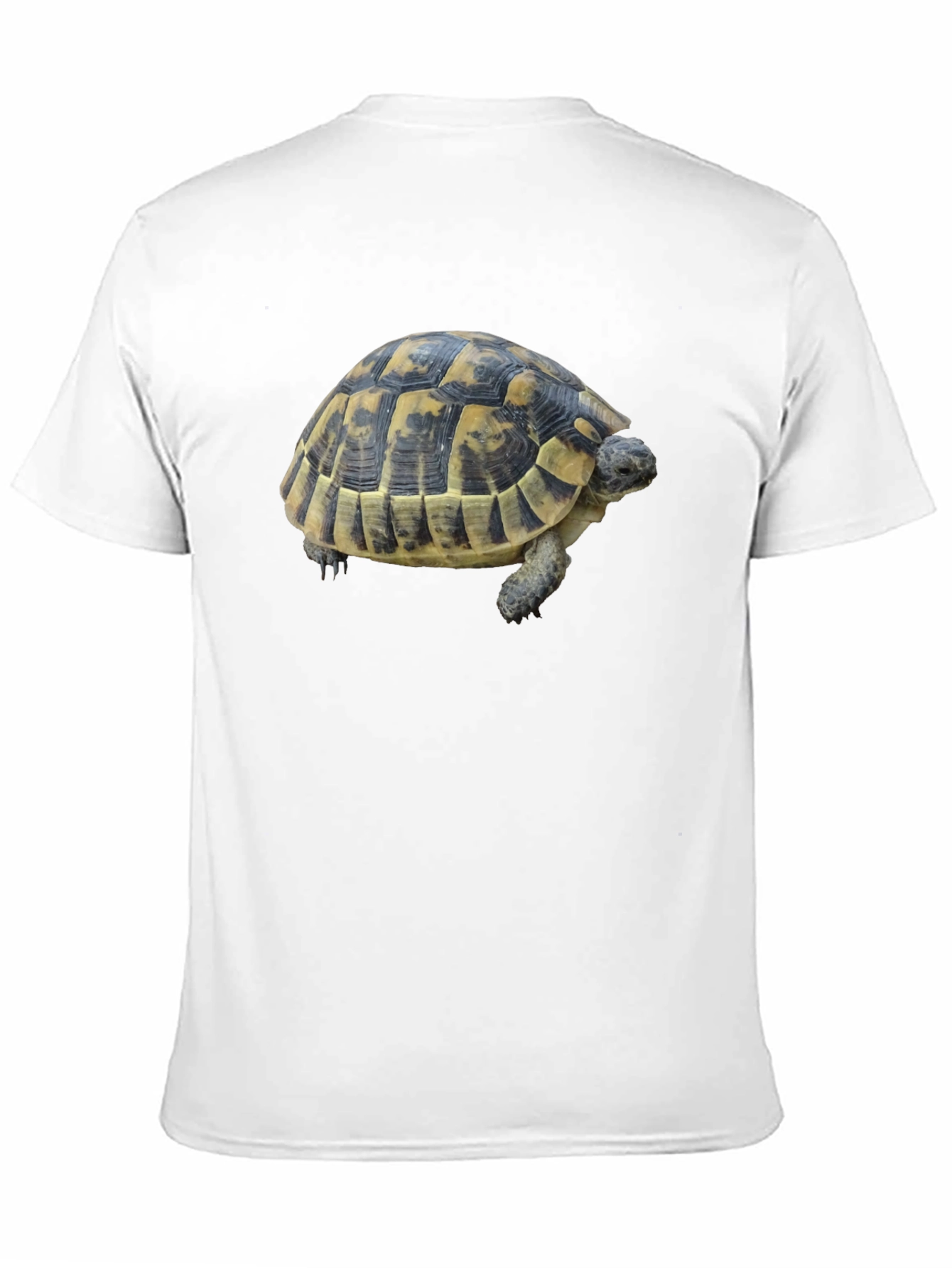 Turtle Graphic Tee - Black Cotton Shirt