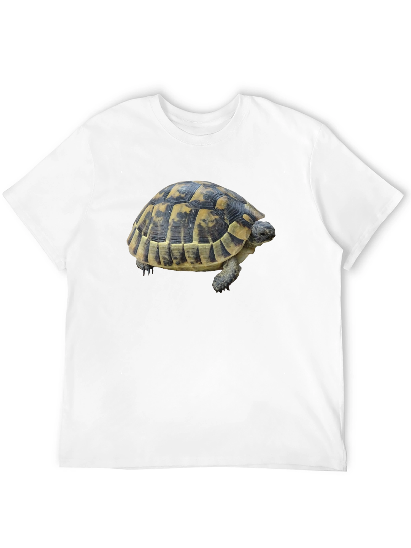 Turtle Graphic Tee - Black Cotton Shirt
