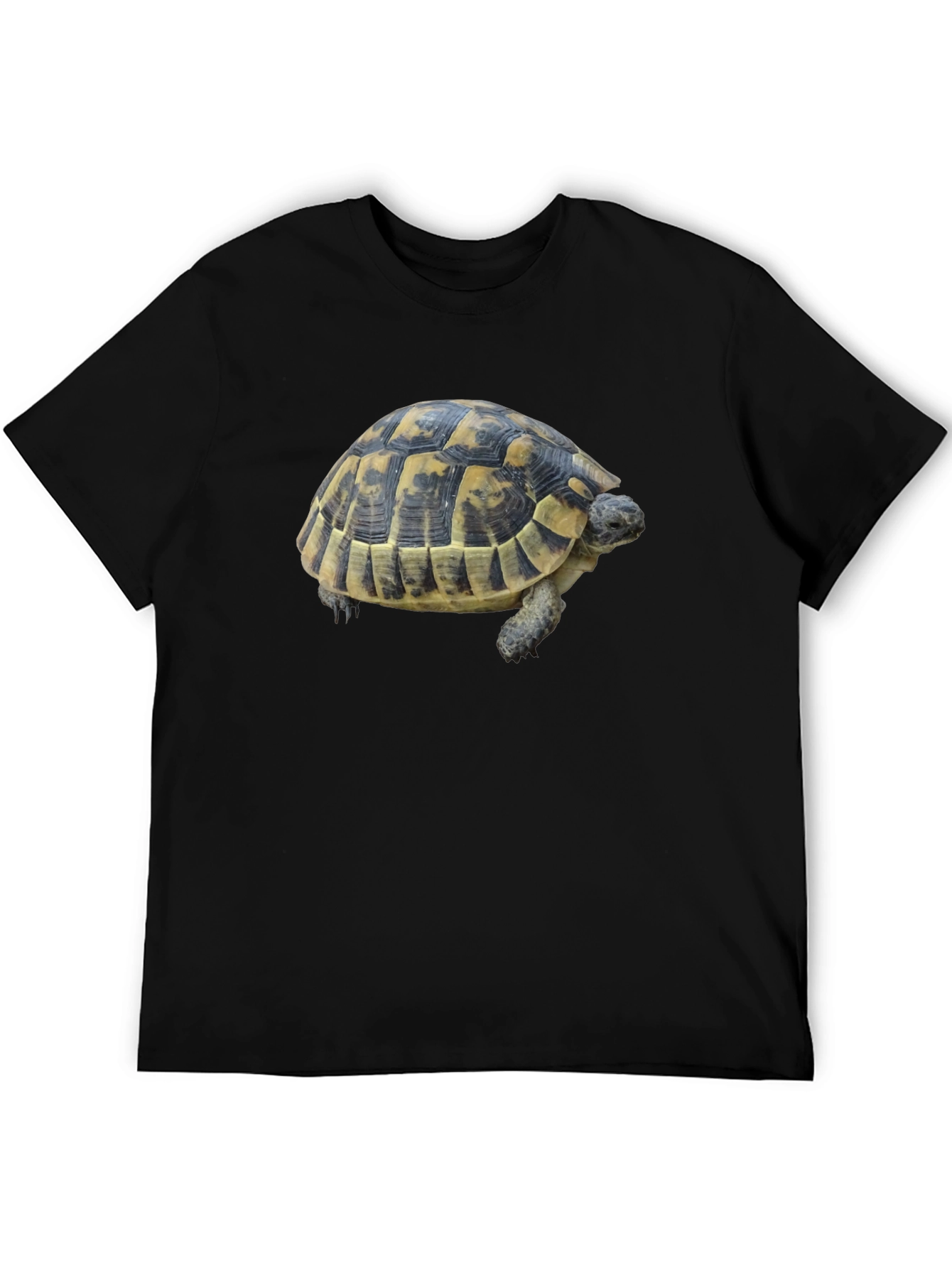 Turtle Graphic Tee - Black Cotton Shirt