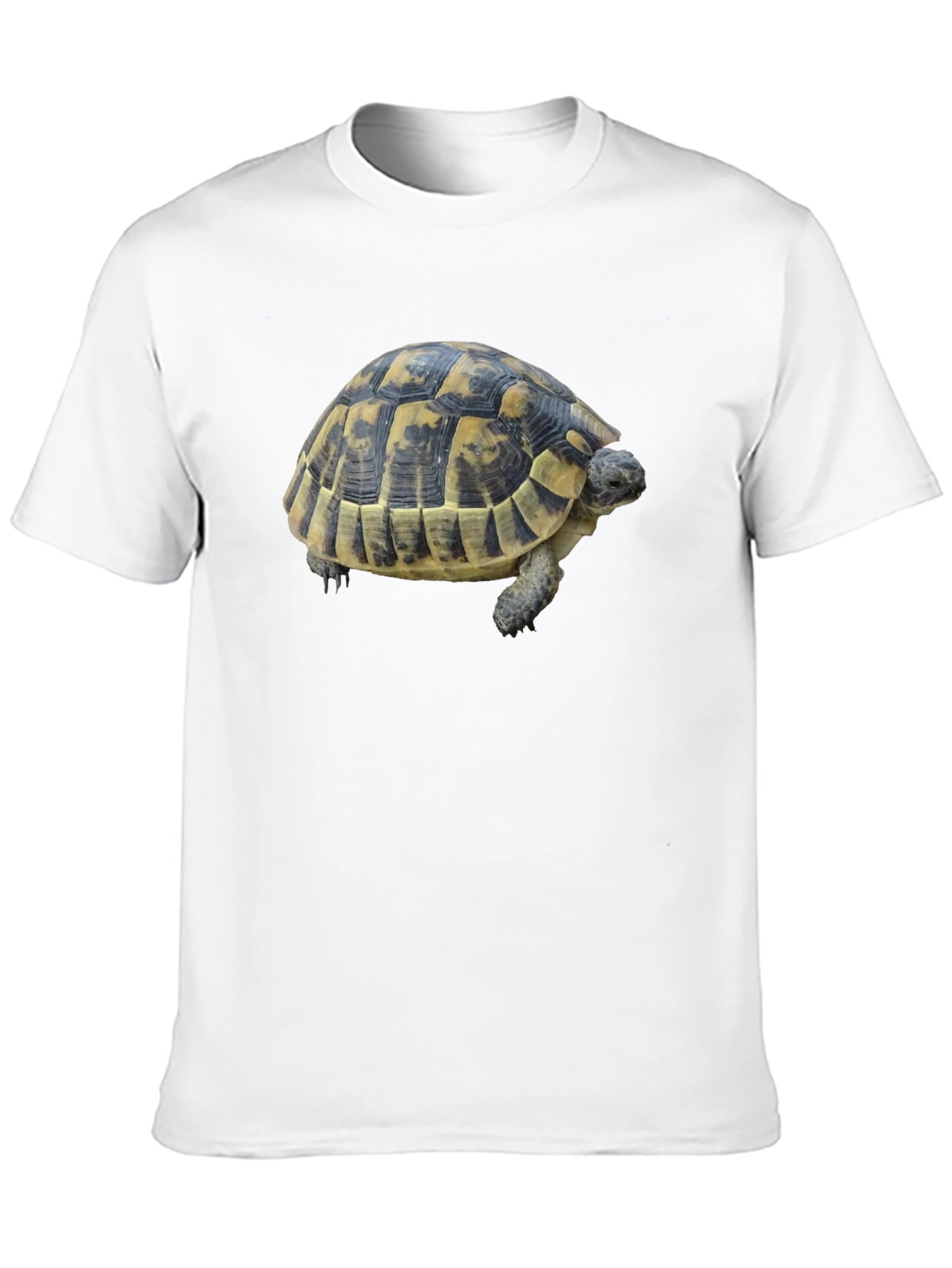 Turtle Graphic Tee - Black Cotton Shirt