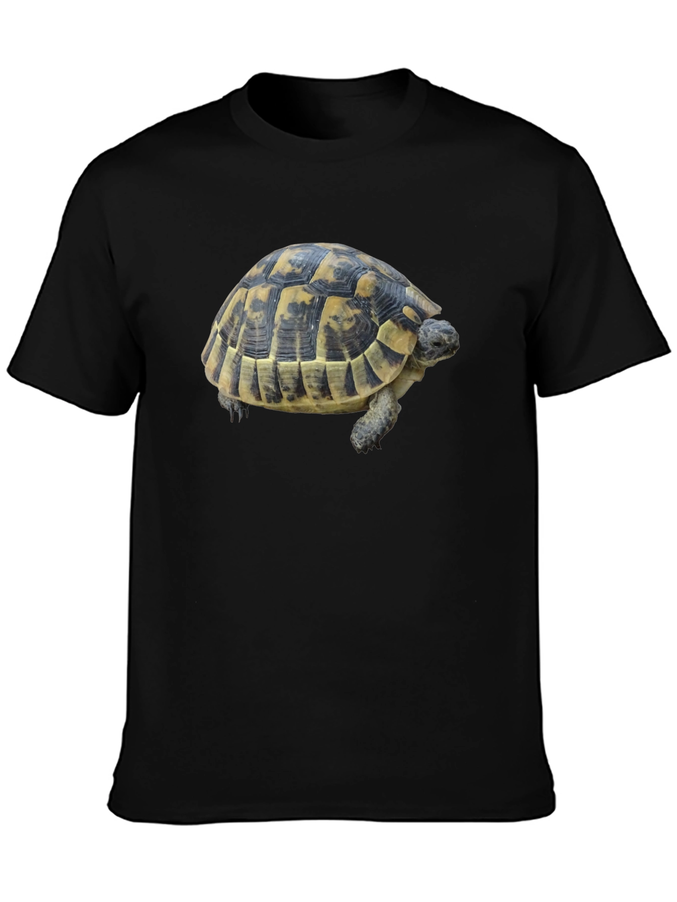 Turtle Graphic Tee - Black Cotton Shirt